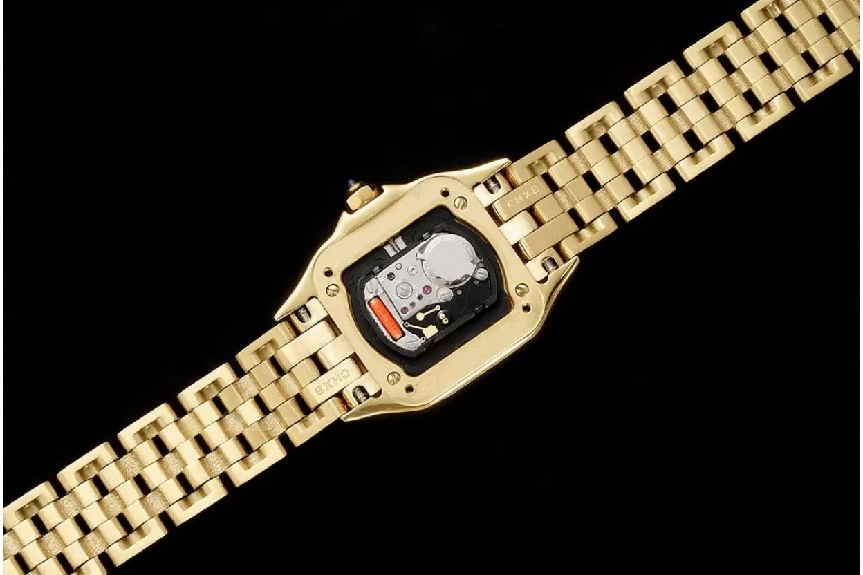 Panthere Secrete De Ladies Small 22mm YG/YG White AF Quartz - Image 8