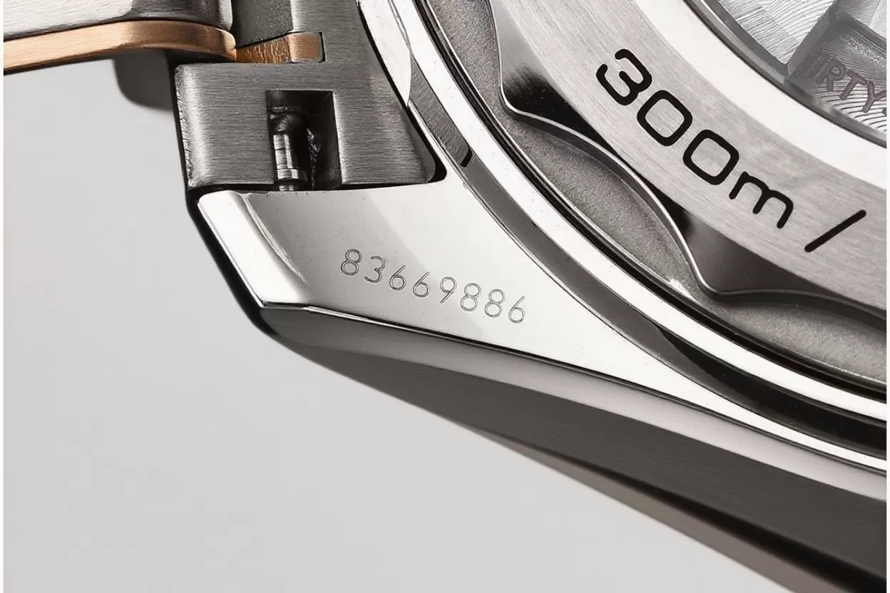Seamaster 300m 2019 RG/SS Black VSF VS8800 - 图片 14