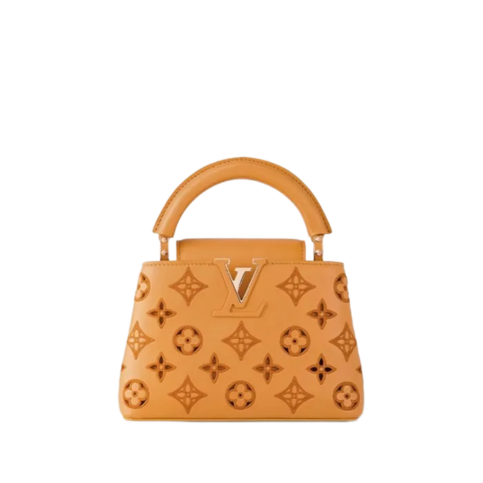 Louis Vuitton Capucines mini M22863