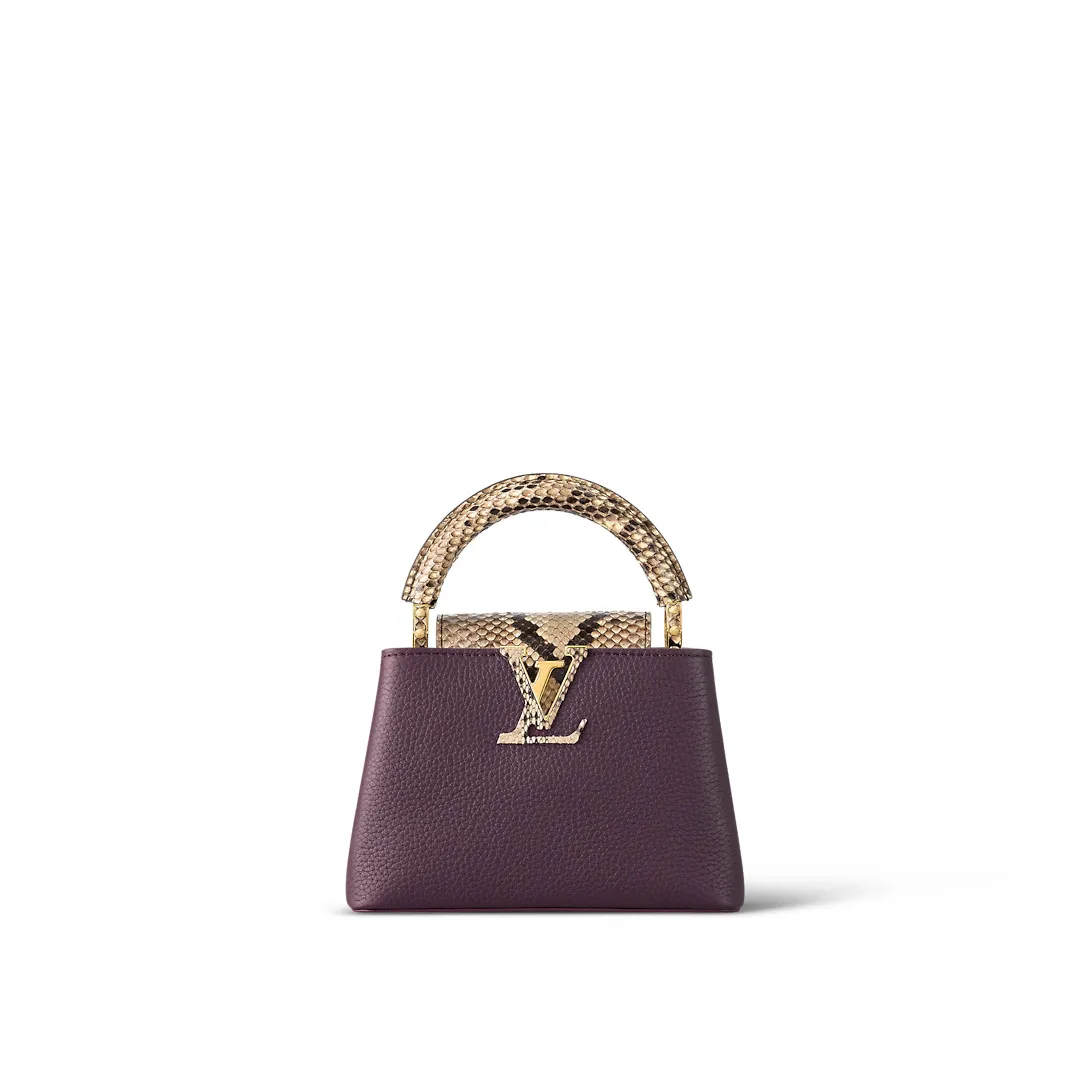 Louis Vuitton Capucines Mini N82067