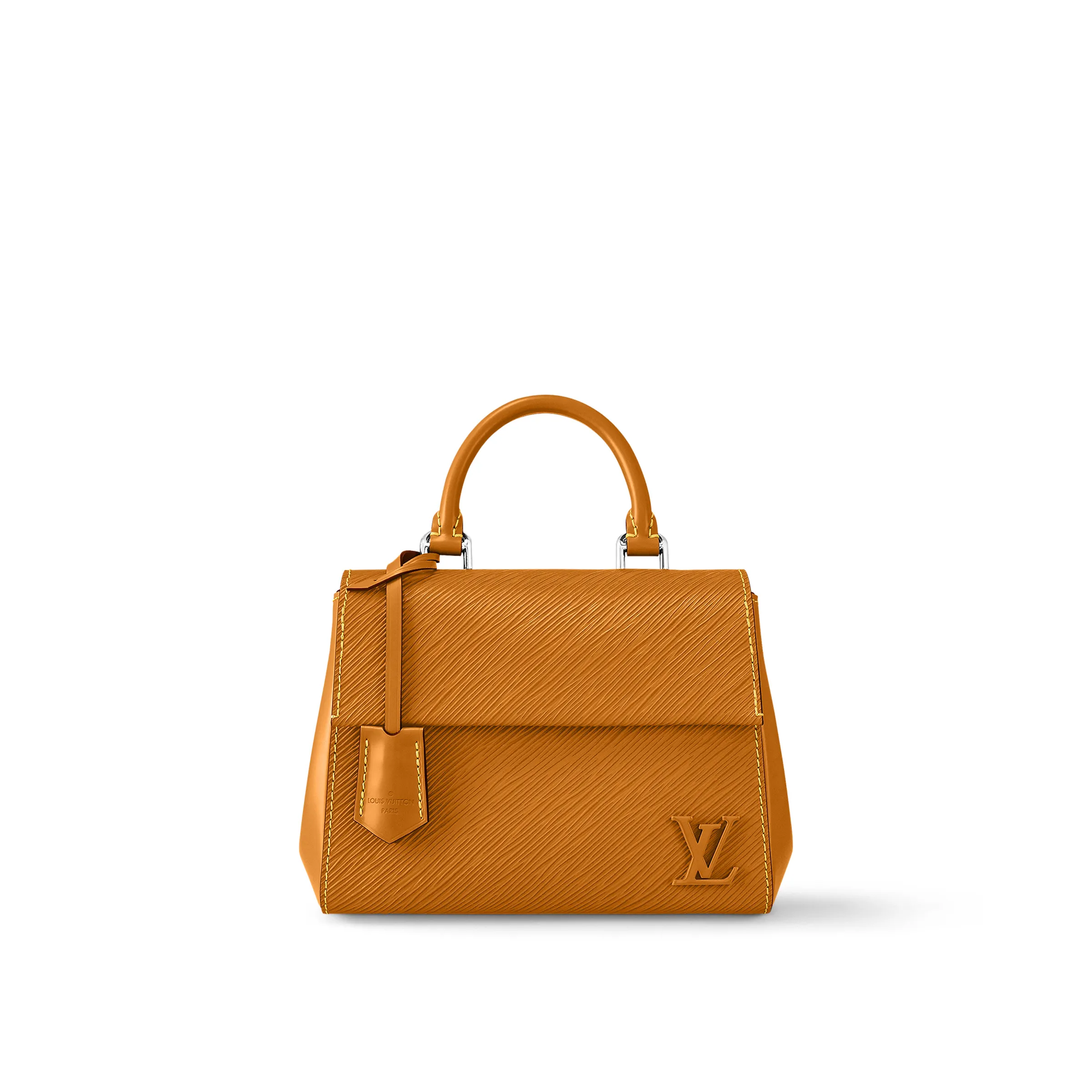 Louis Vuitton Cluny Mini M58931