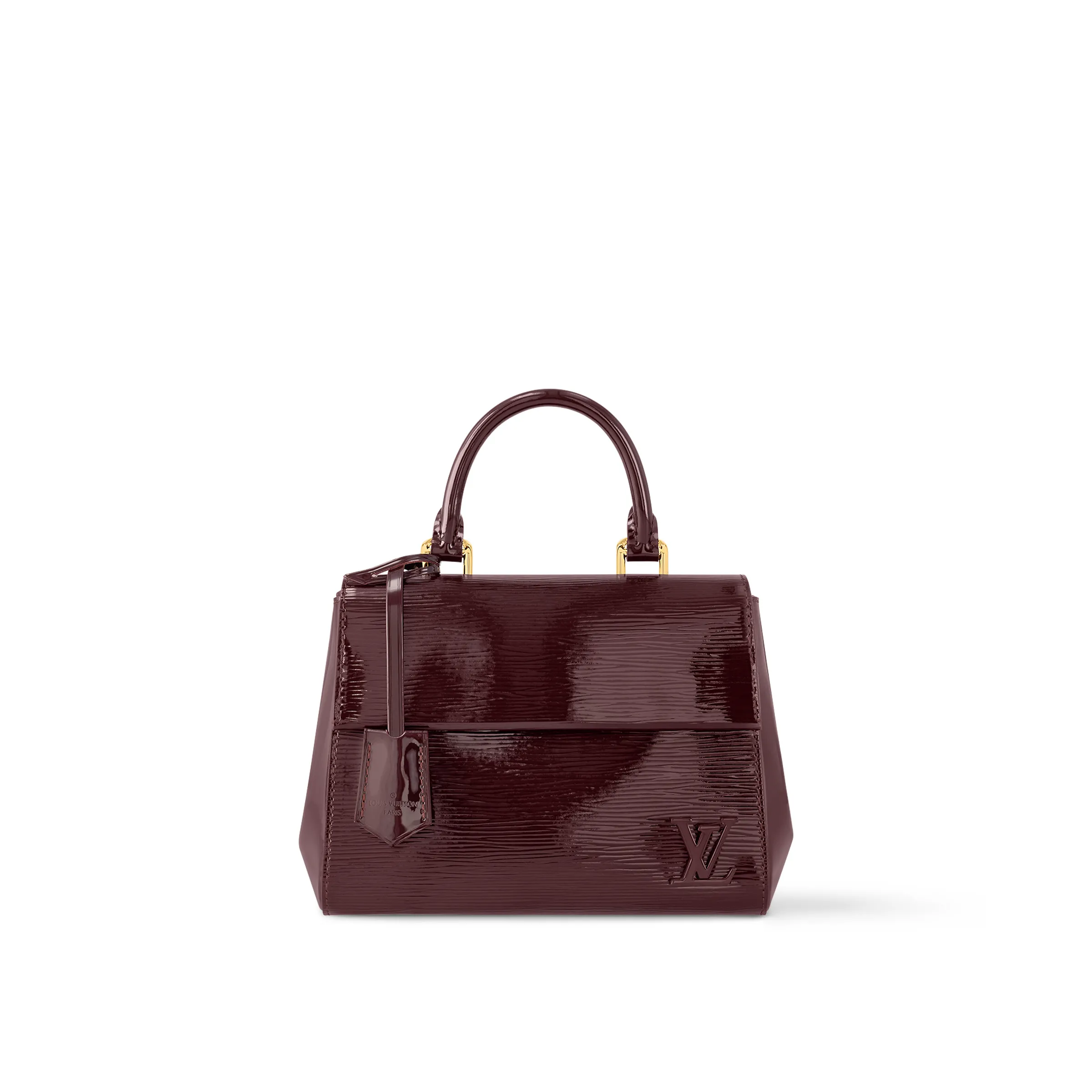 Louis Vuitton Cluny Mini M24616