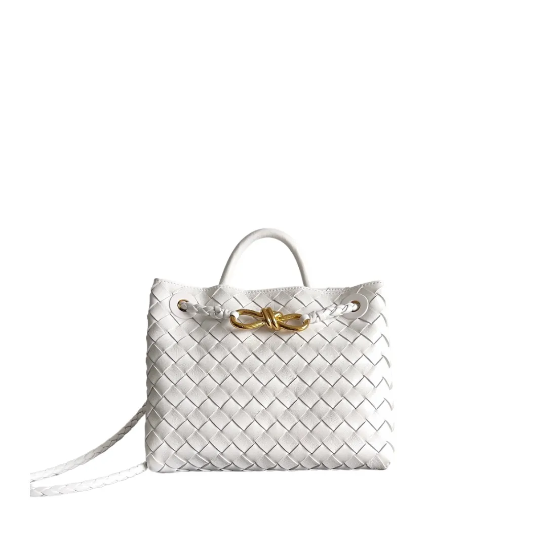 Bottega Veneta Small Andiamo White 766014
