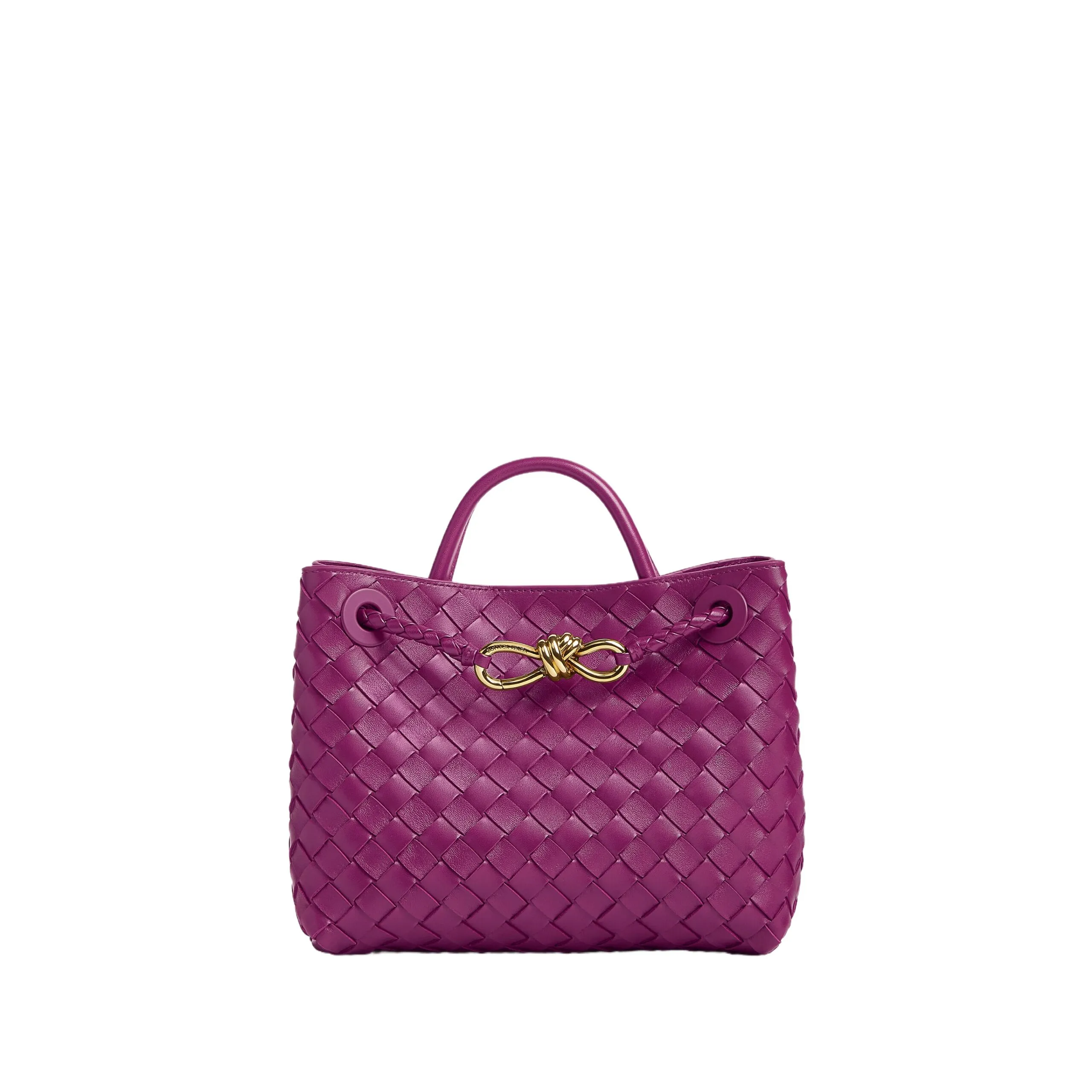 Bottega Veneta Small Andiamo Beetroot 766014