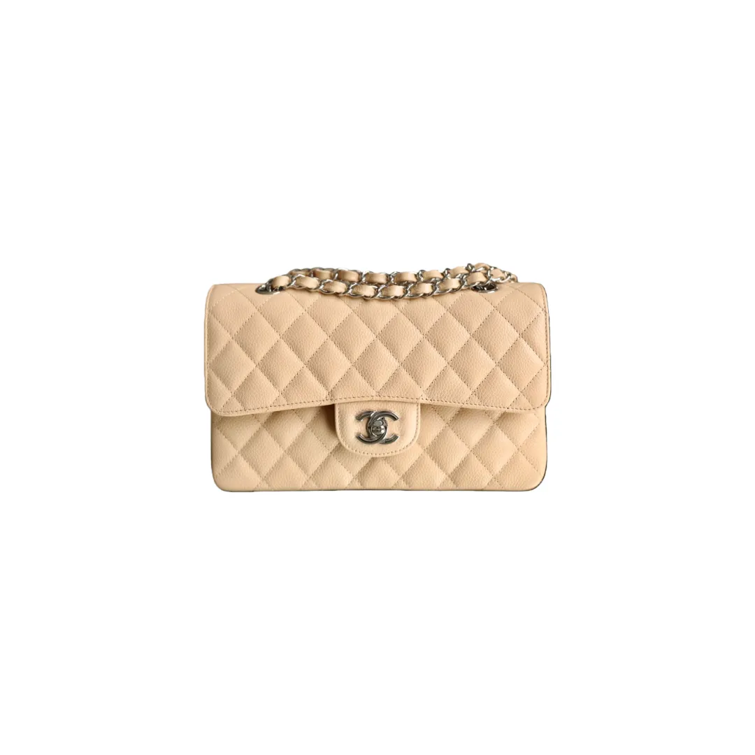 CHANEL Small Classic Flap Handbag Caviar Silver A01113