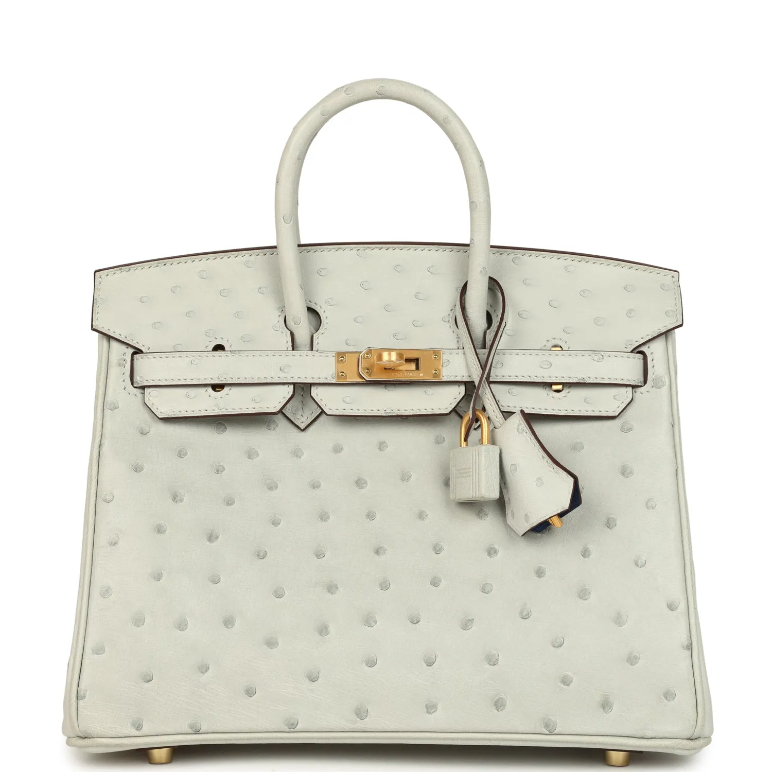 Herm??s Special Order (HSS) Birkin 25 Gris Perle Verso Ostrich Brushed Gold Hardware