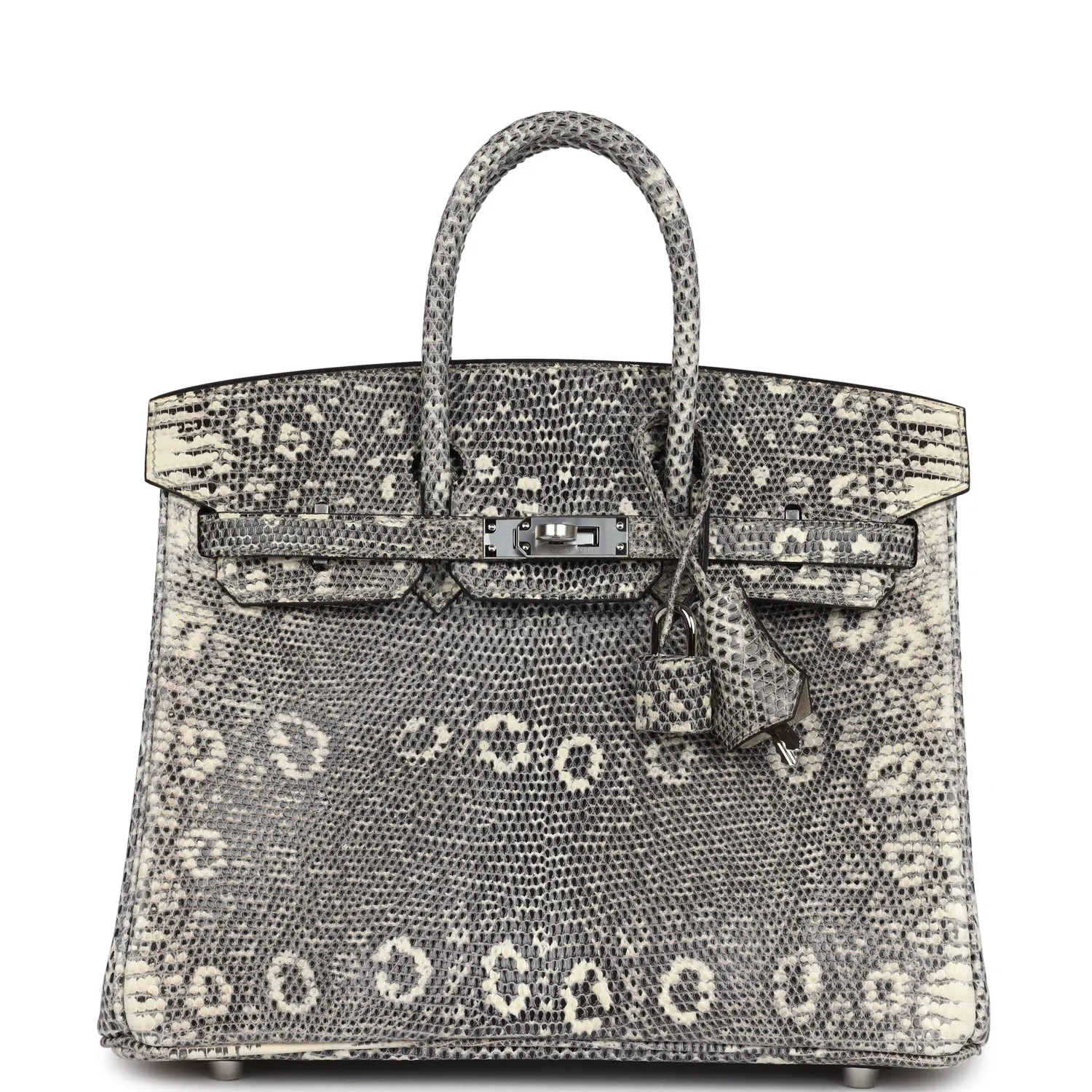 Herm??s Birkin 25 Ombre Varanus Salvator Lizard Palladium Hardware