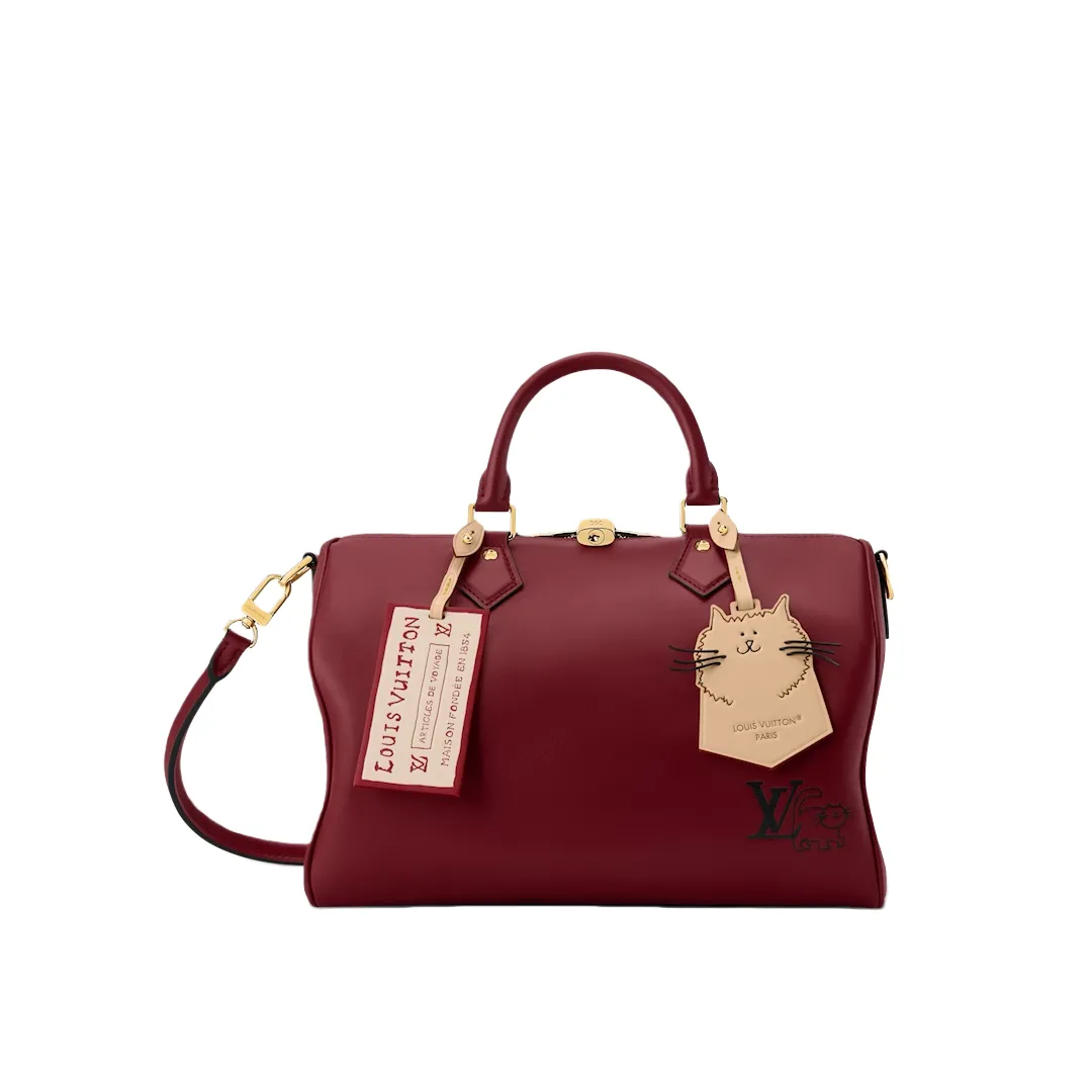 Louis Vuitton Travels With Grace Coddington Speedy Soft 30 M25766