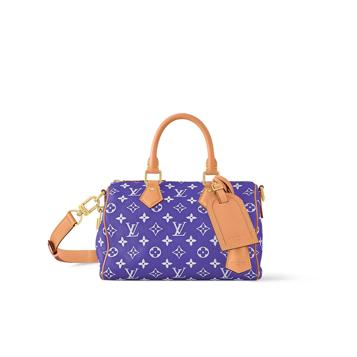 Louis Vuitton Speedy P9 Bandouli??re 25 M11562