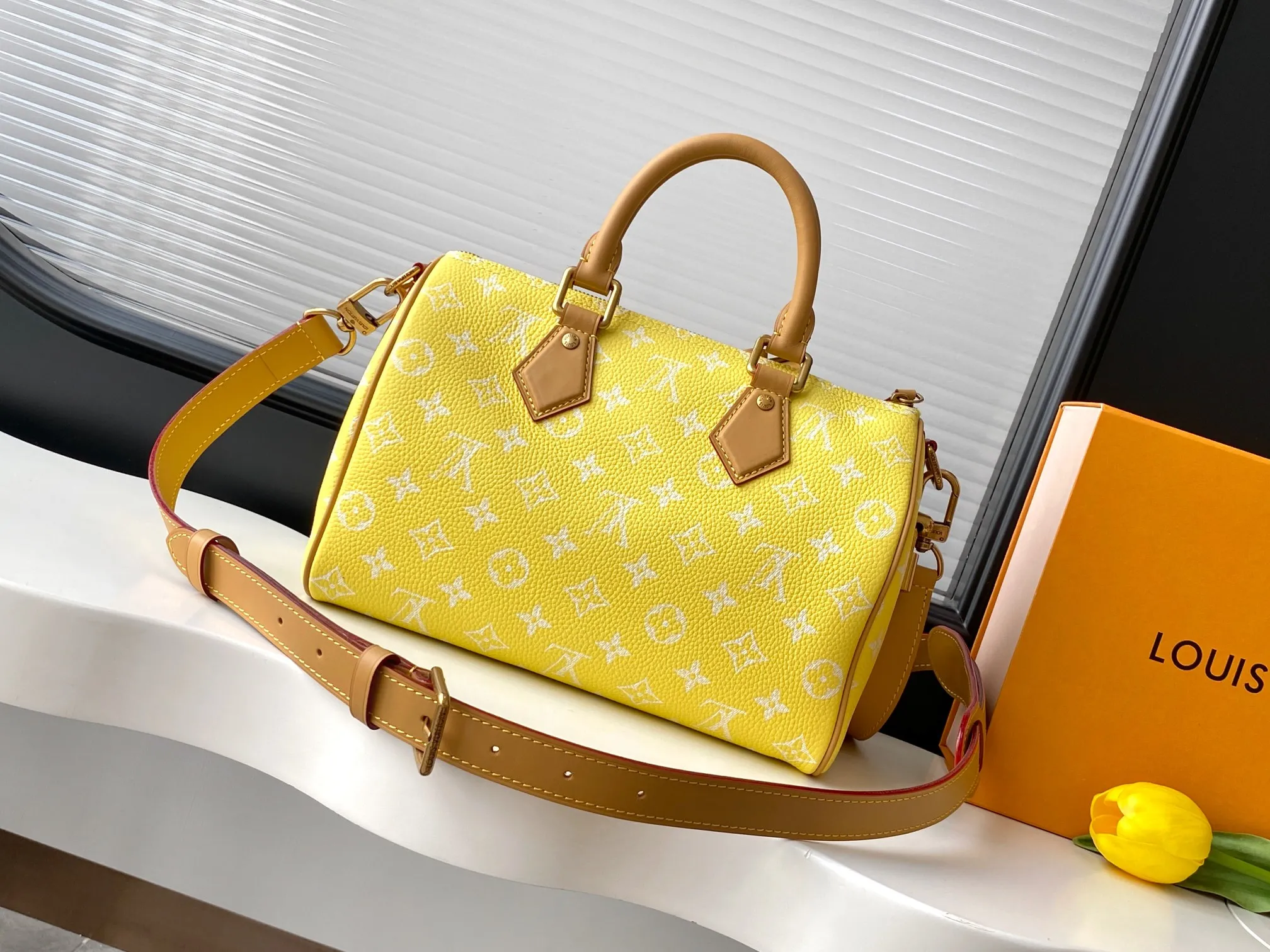 Louis Vuitton Speedy P9 Bandouli??re 25 M13902 - 图片 3