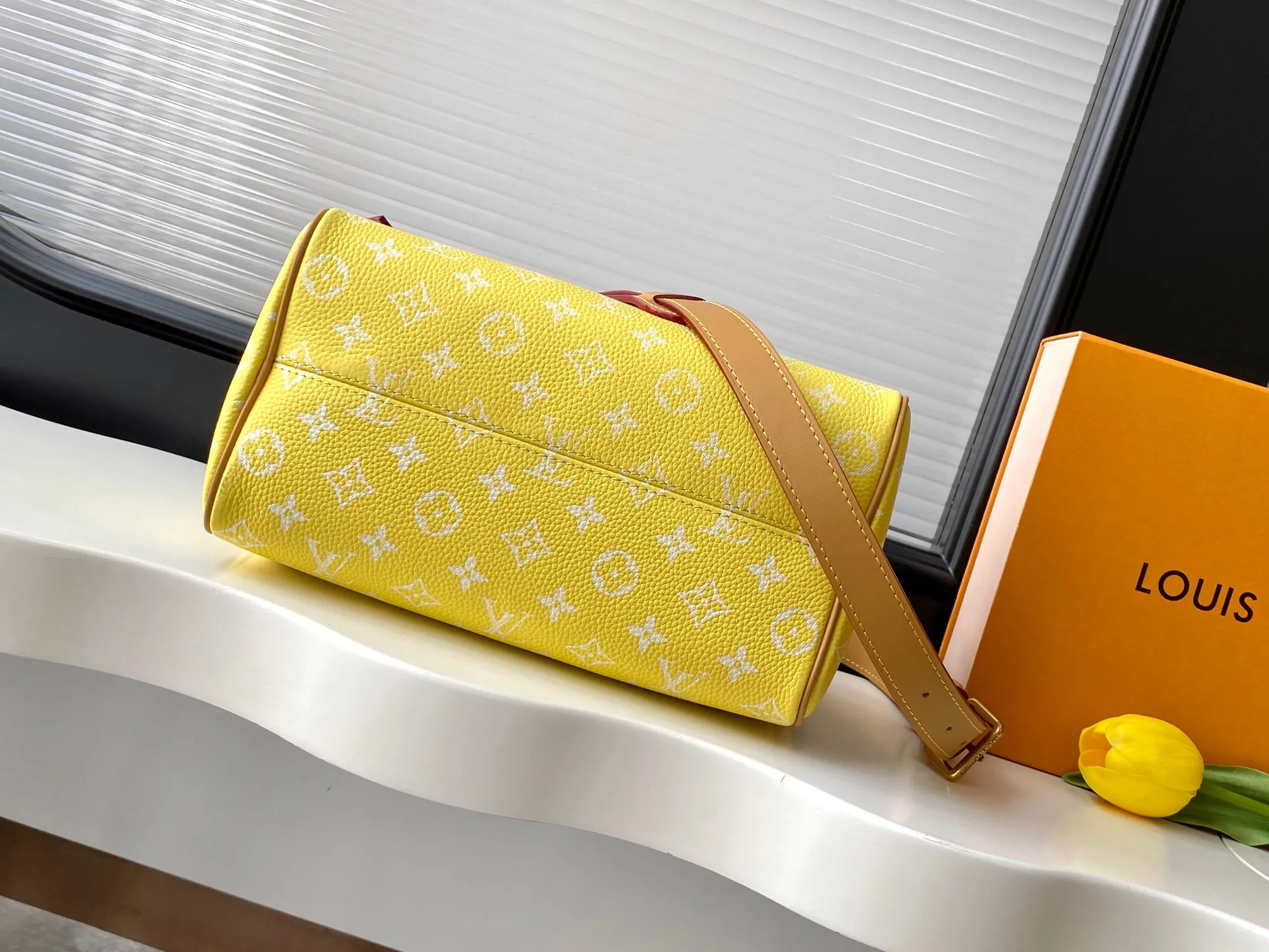 Louis Vuitton Speedy P9 Bandouli??re 25 M13902 - 图片 4
