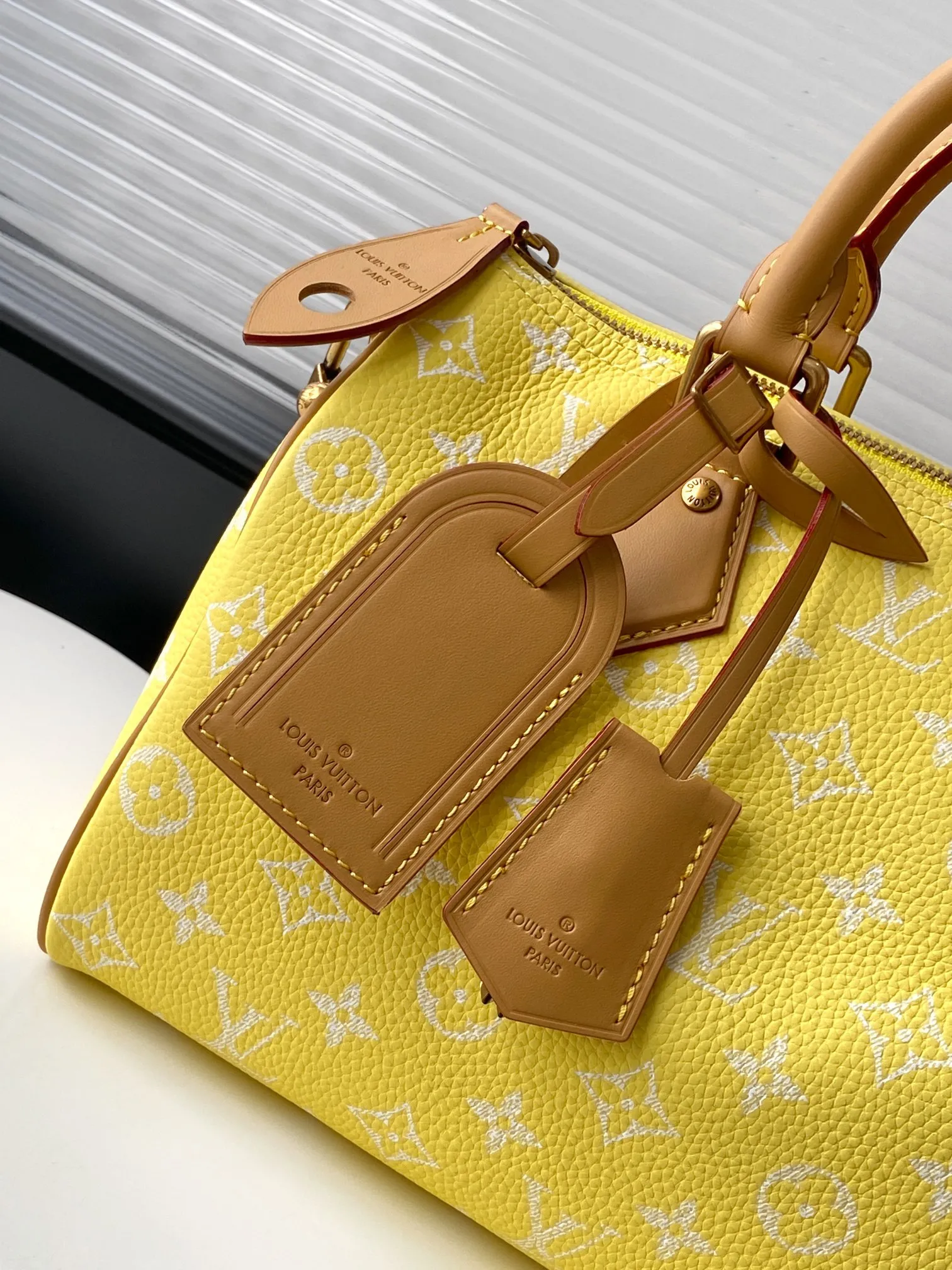 Louis Vuitton Speedy P9 Bandouli??re 25 M13902 - 图片 5