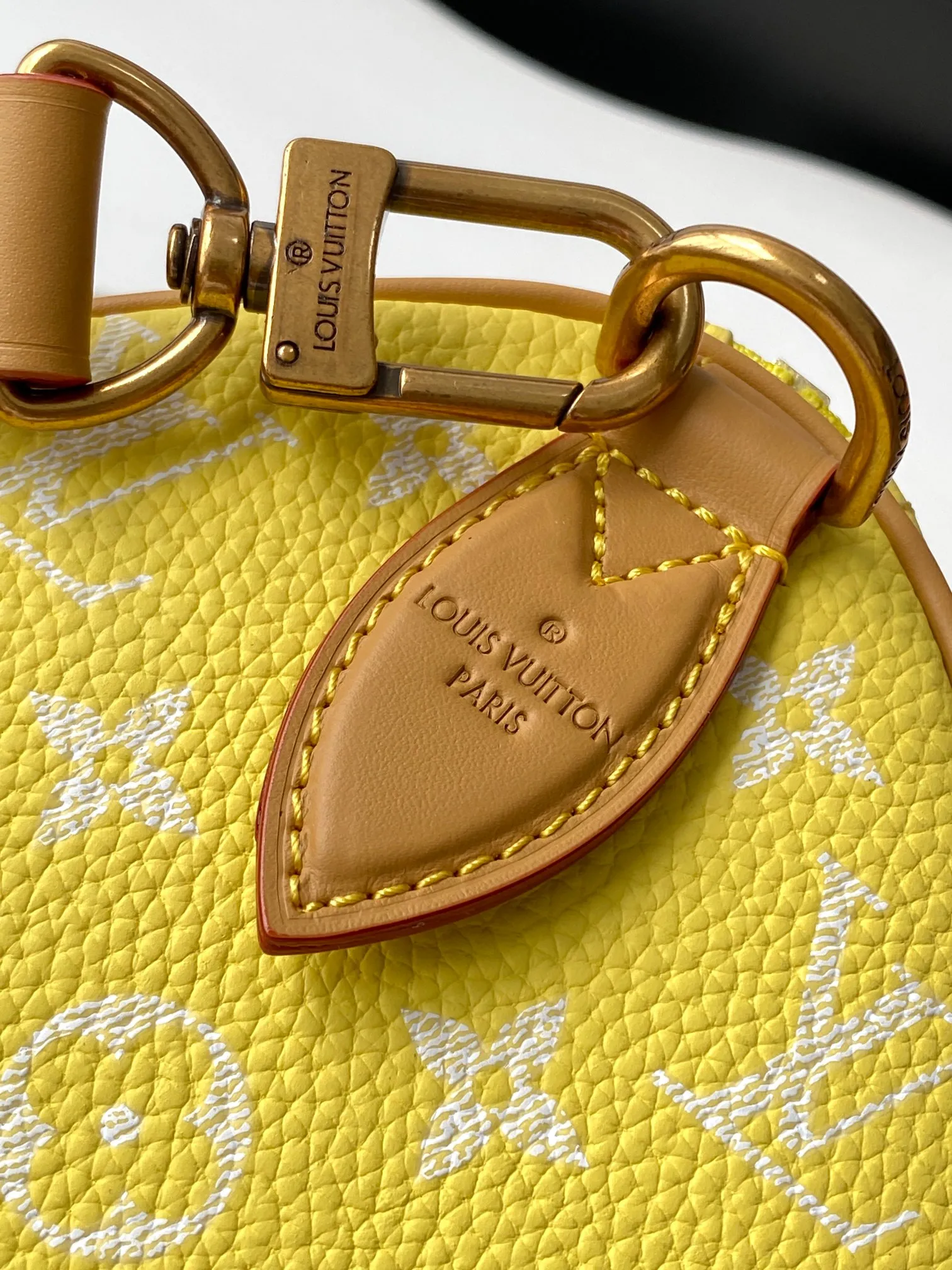 Louis Vuitton Speedy P9 Bandouli??re 25 M13902 - 图片 7