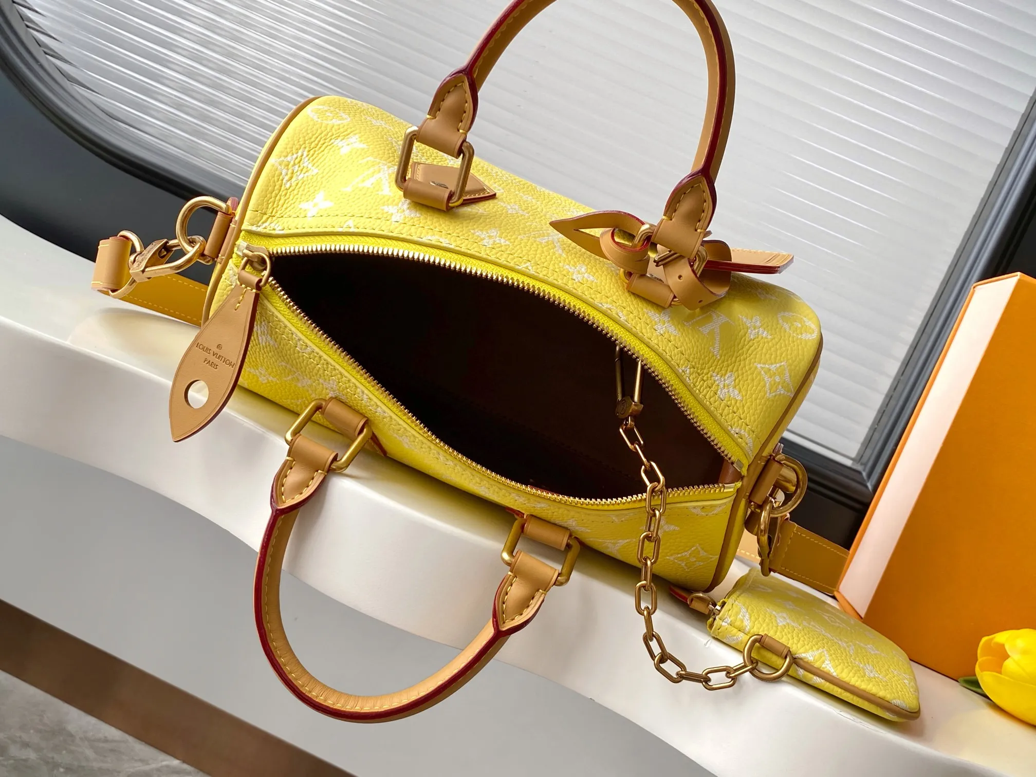 Louis Vuitton Speedy P9 Bandouli??re 25 M13902 - 图片 8