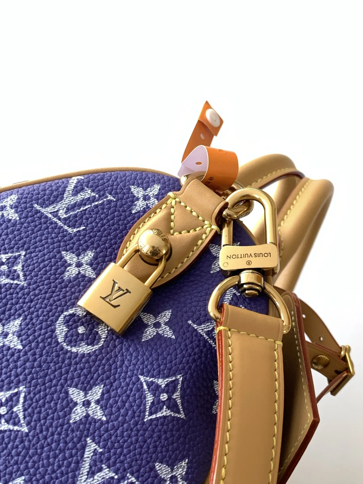 Louis Vuitton Speedy P9 Bandouli??re 25 M11562 - 图片 9