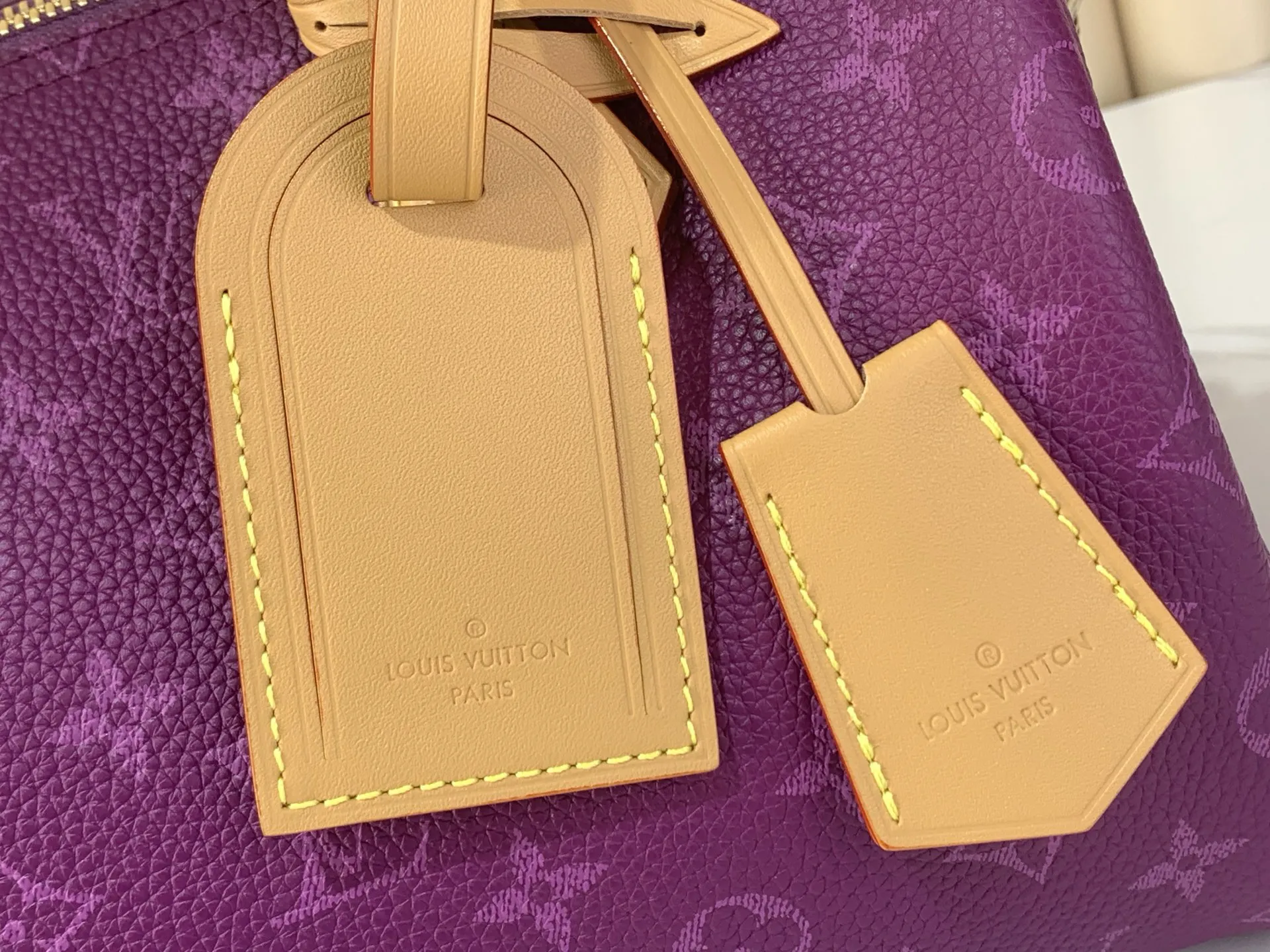 Louis Vuitton Speedy P9 Bandouli??re 25 M28383 - 图片 5
