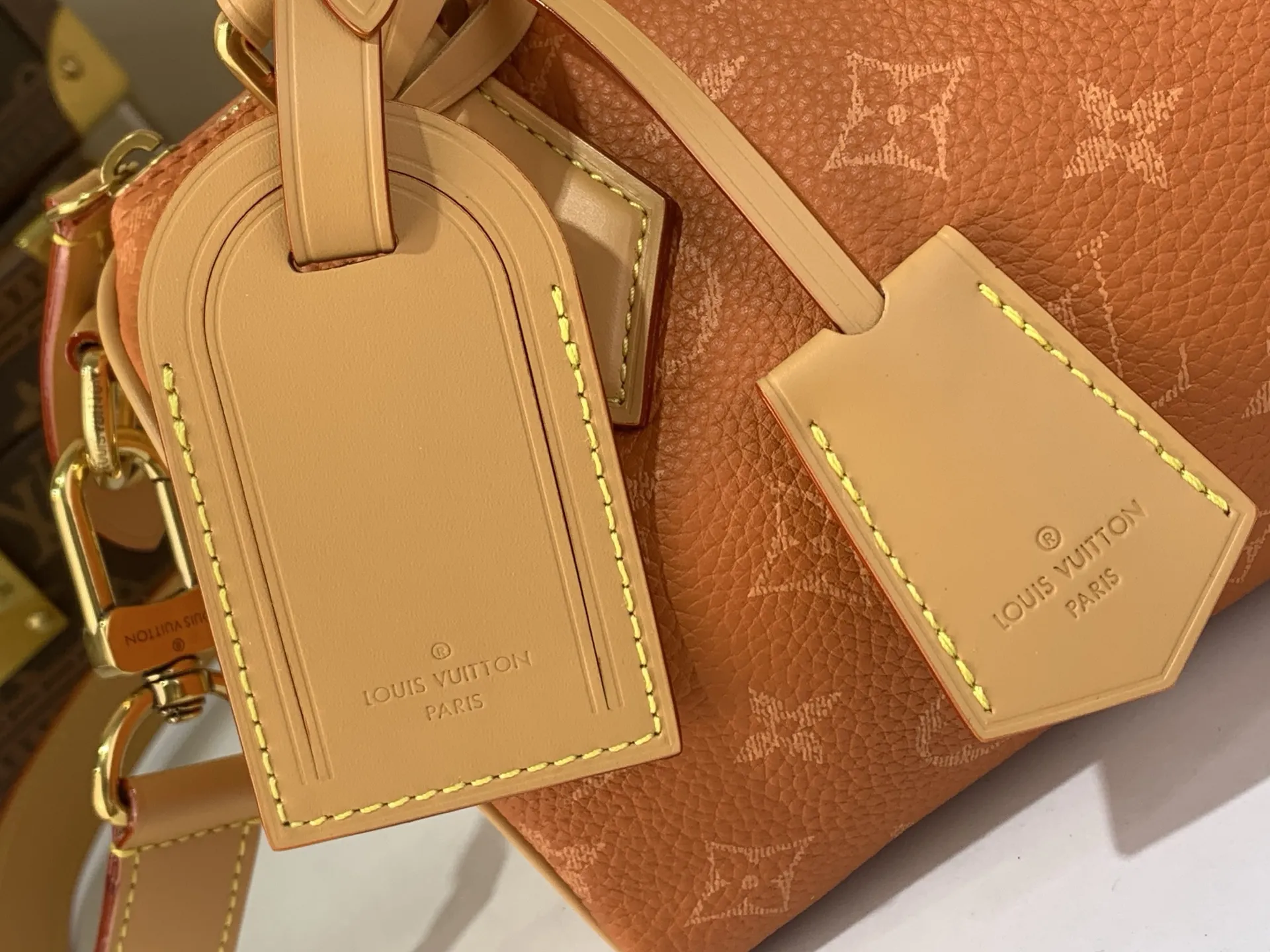 Louis Vuitton Speedy P9 Bandouli??re 20 M28307 - 图片 8