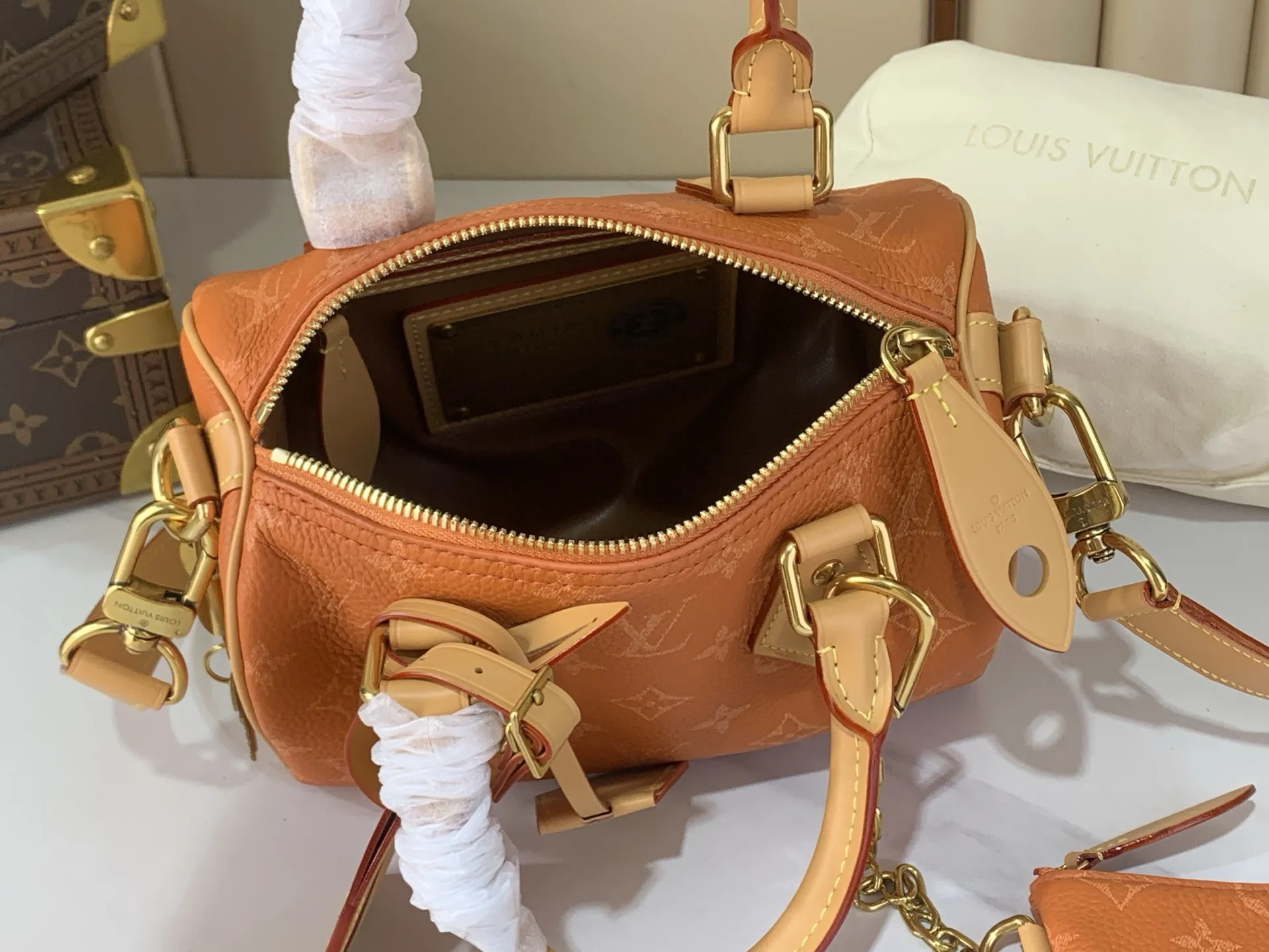 Louis Vuitton Speedy P9 Bandouli??re 20 M28307 - 图片 10
