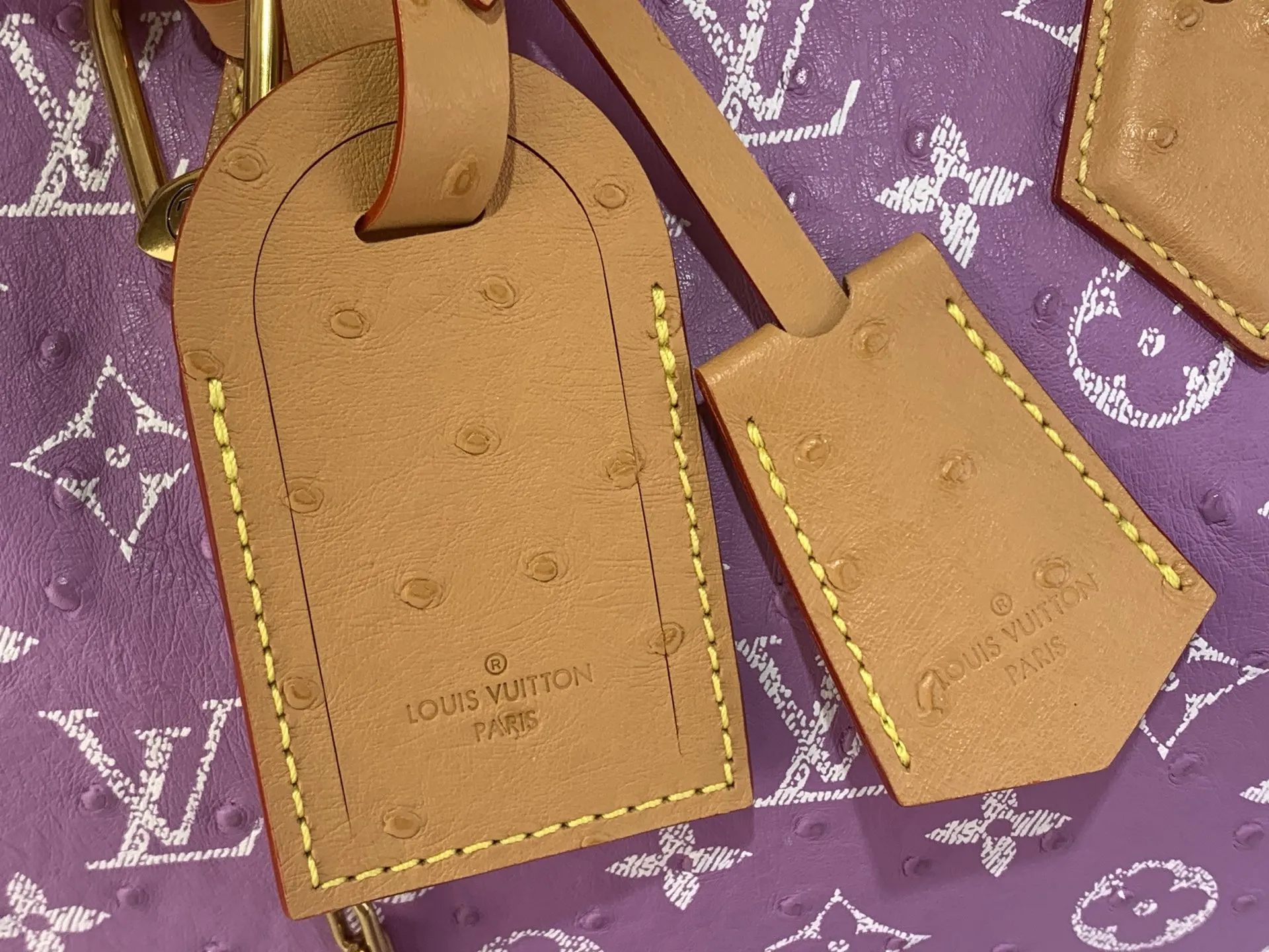 Louis Vuitton Speedy P9 Bandouli??re 30 Monogram Ostrich-Embossed Cowhide M14064 - 图片 6