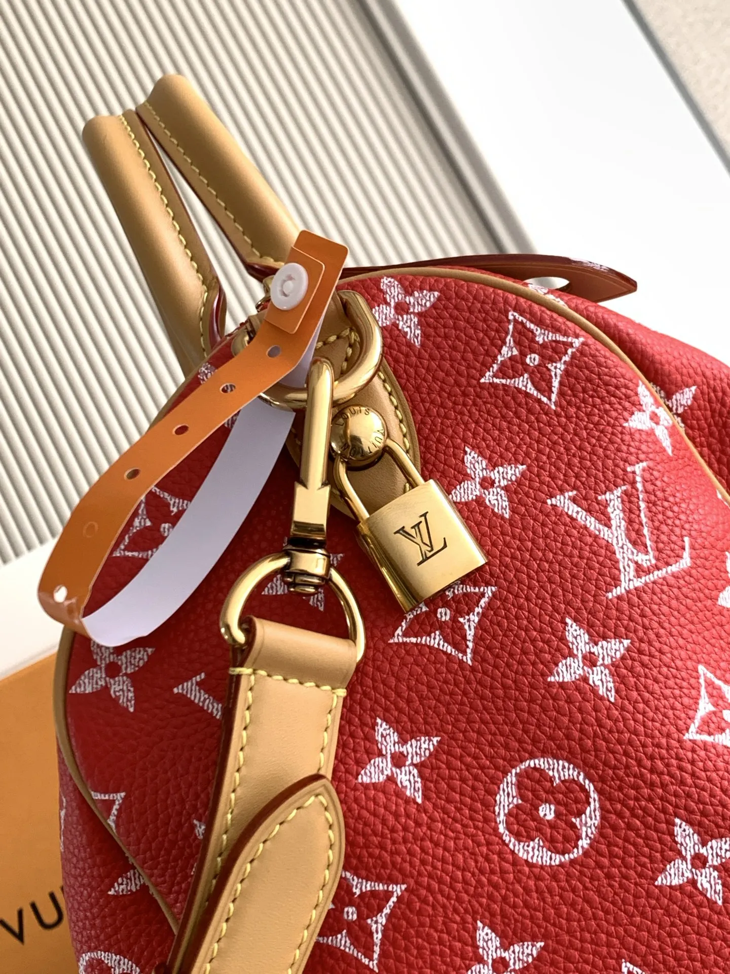 Louis Vuitton Speedy P9 Bandoulière 30 M14067 - Image 8