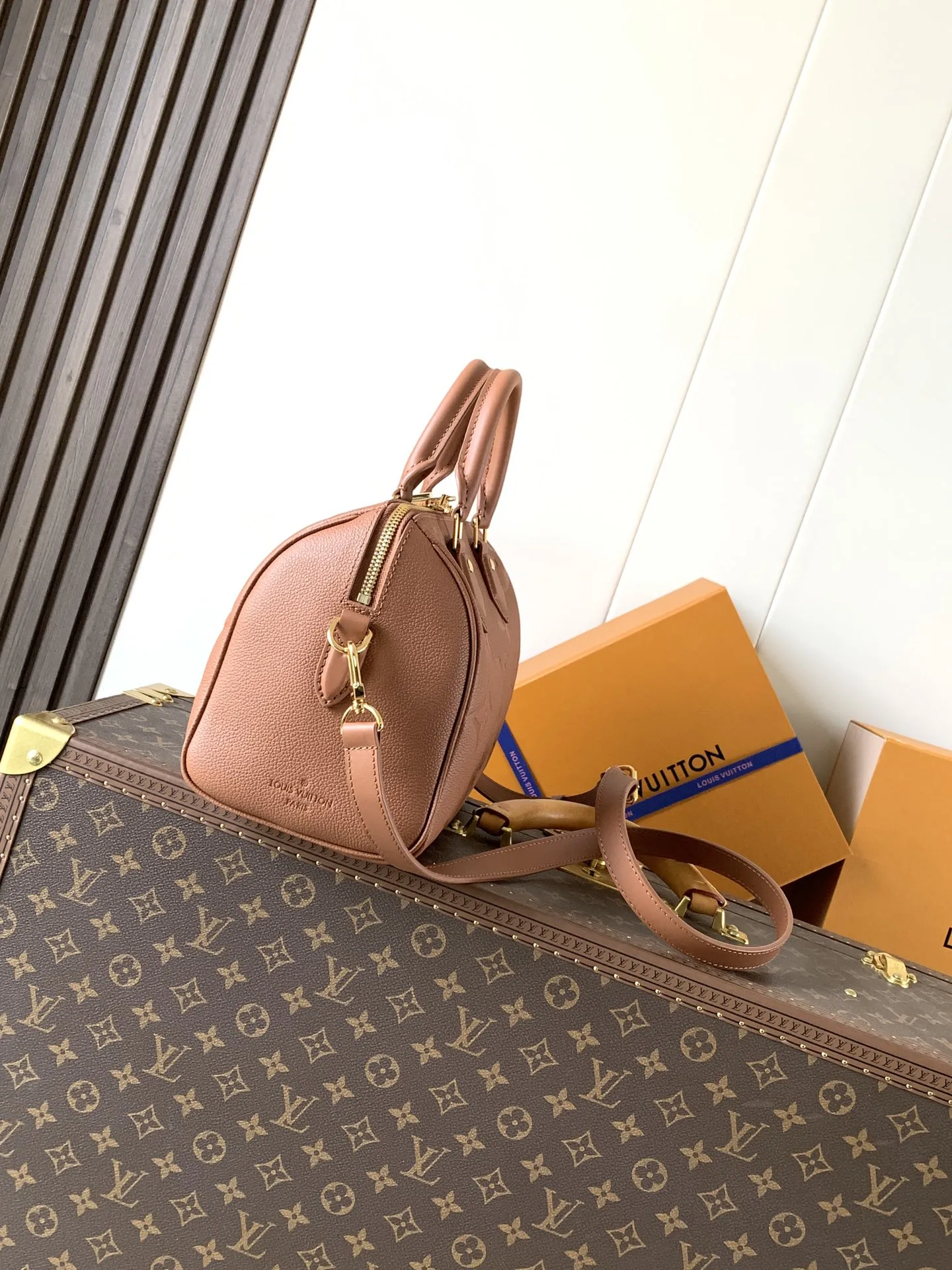 Louis Vuitton Speedy Bandoulière 25 M46136 - 图片 3