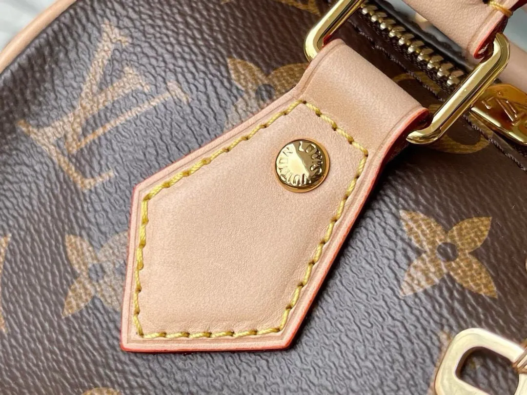 Louis Vuitton Speedy Bandoulière 20 M46234 - 图片 8
