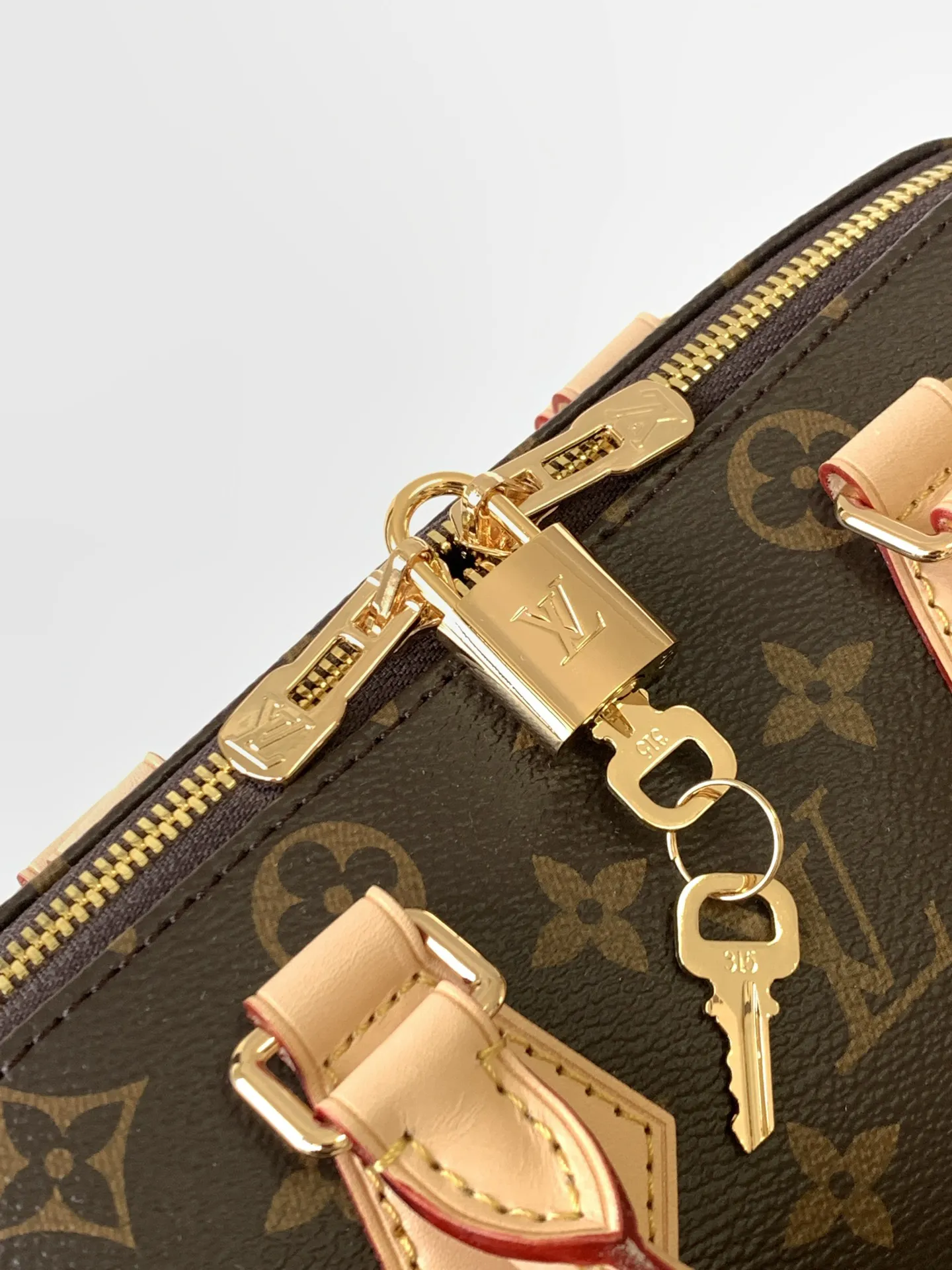 Louis Vuitton Speedy Bandoulière 20 M46222 - 图片 7