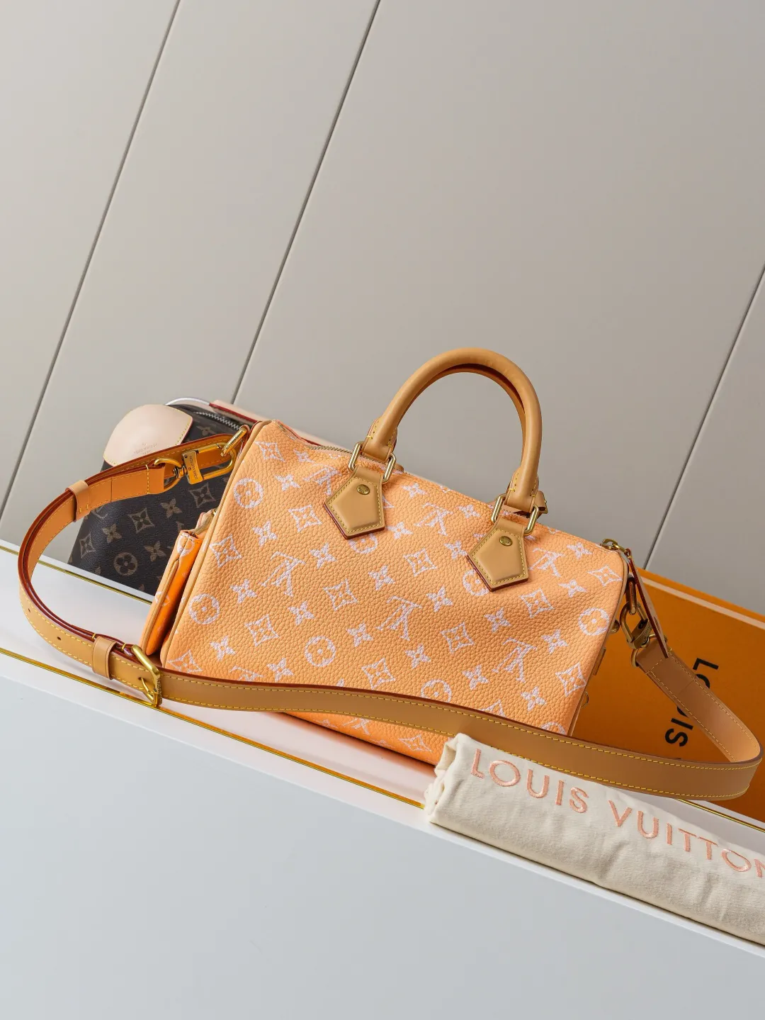 Louis Vuitton Speedy P9 Bandoulière 25 M13912 - 图片 5