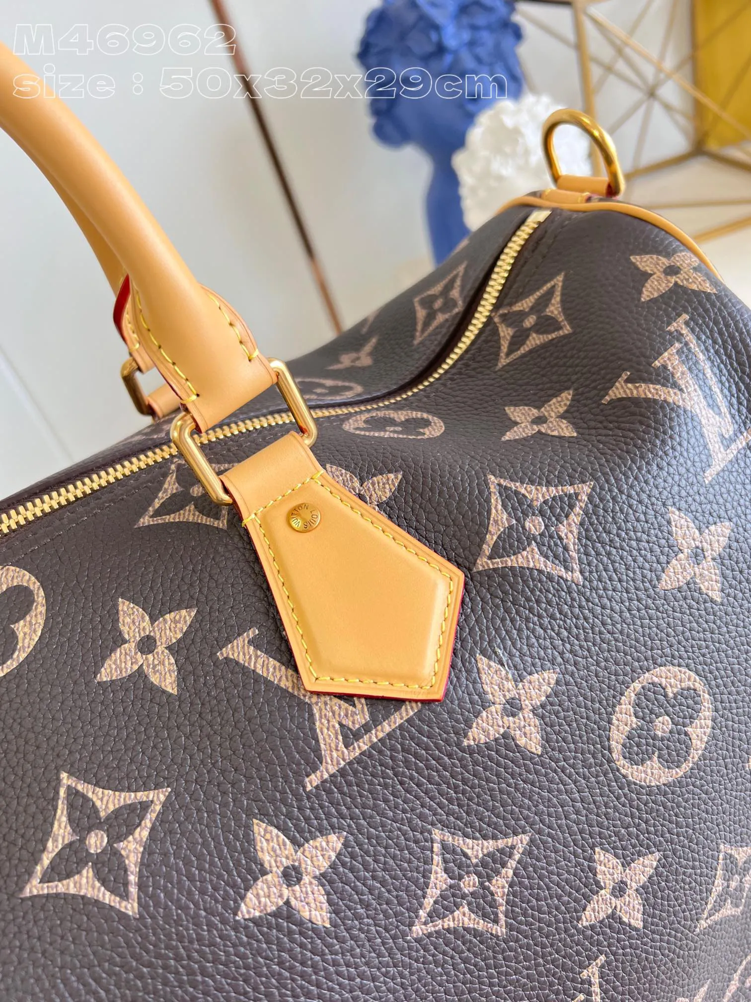 Louis Vuitton Speedy P9 Bandoulière 50 M46962 - 图片 5