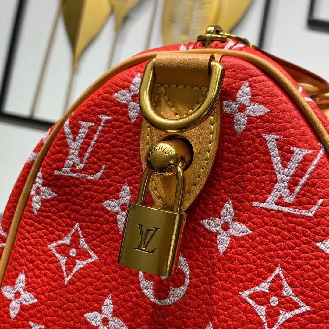 Louis Vuitton Speedy P9 Bandoulière 25 M24425 - Image 8