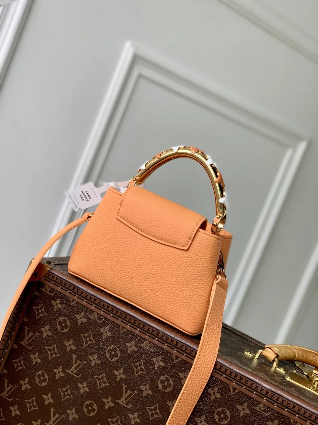 Louis Vuitton Capucines Mini M14396 - 图片 5
