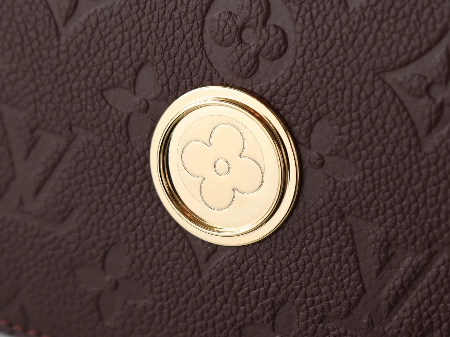 Louis Vuitton Wallet On Chain Rosy M25814 - 图片 8