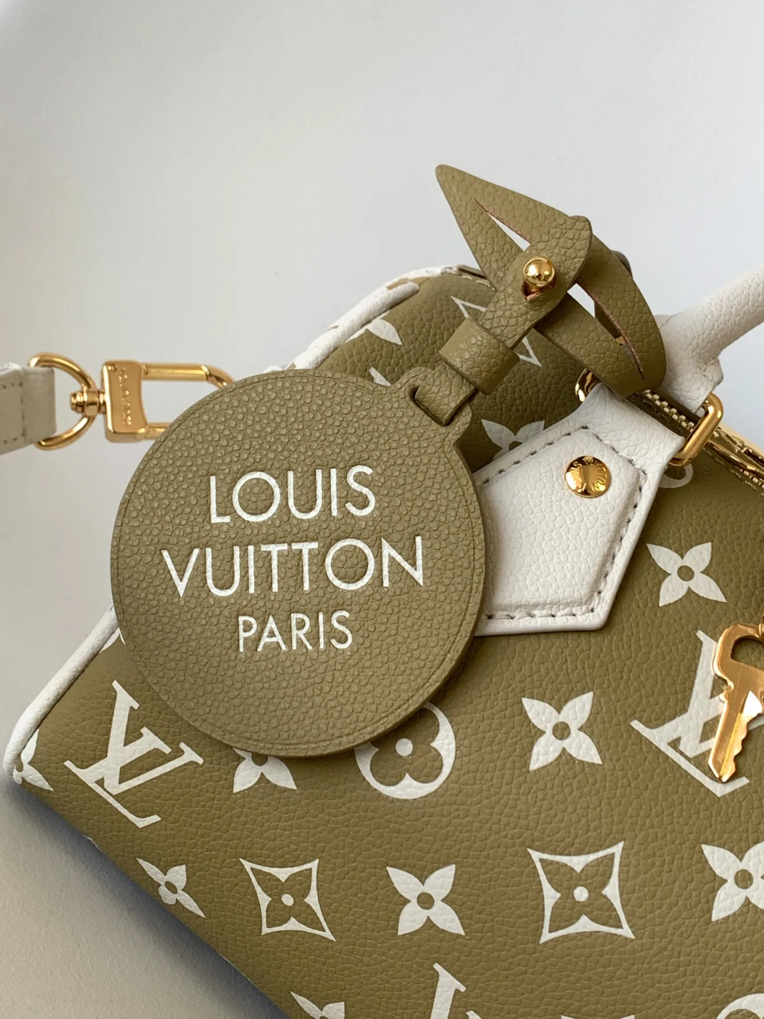 Louis Vuitton Speedy Bandouliere 20 M46118 - 图片 8