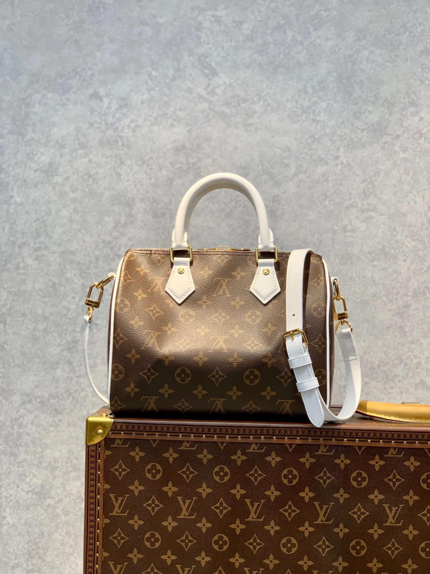 Alternative view of Louis Vuitton Speedy Bandoulière 25 M20754