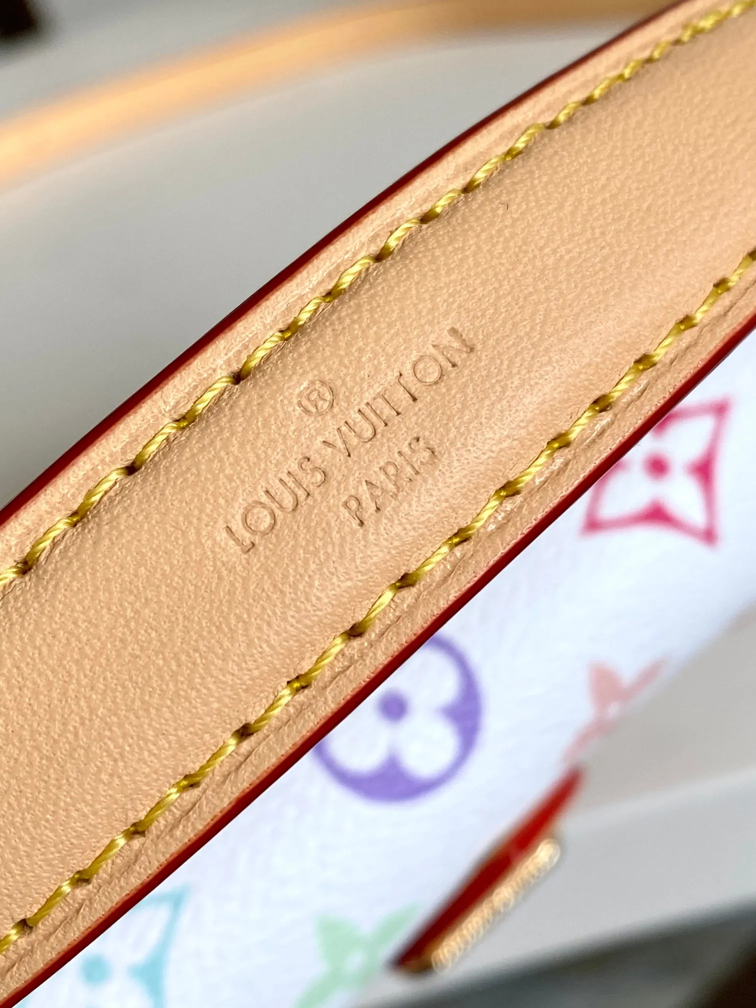 Louis Vuitton LV x TM Nano Diane M14194 - 图片 4