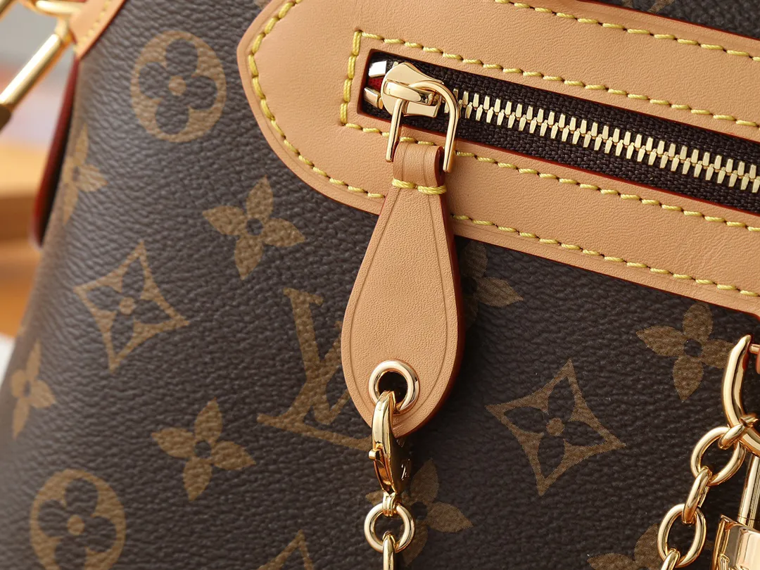 Louis Vuitton Ever More PM M15208 - 图片 8