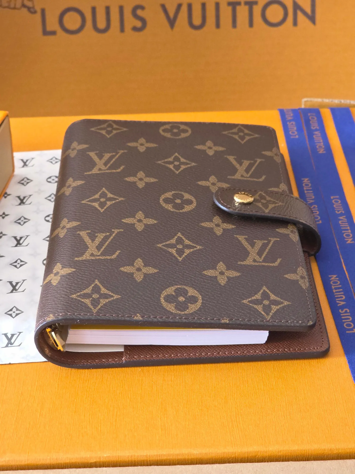 Louis Vuitton Medium Ring Agenda Cover R20105 - 图片 5