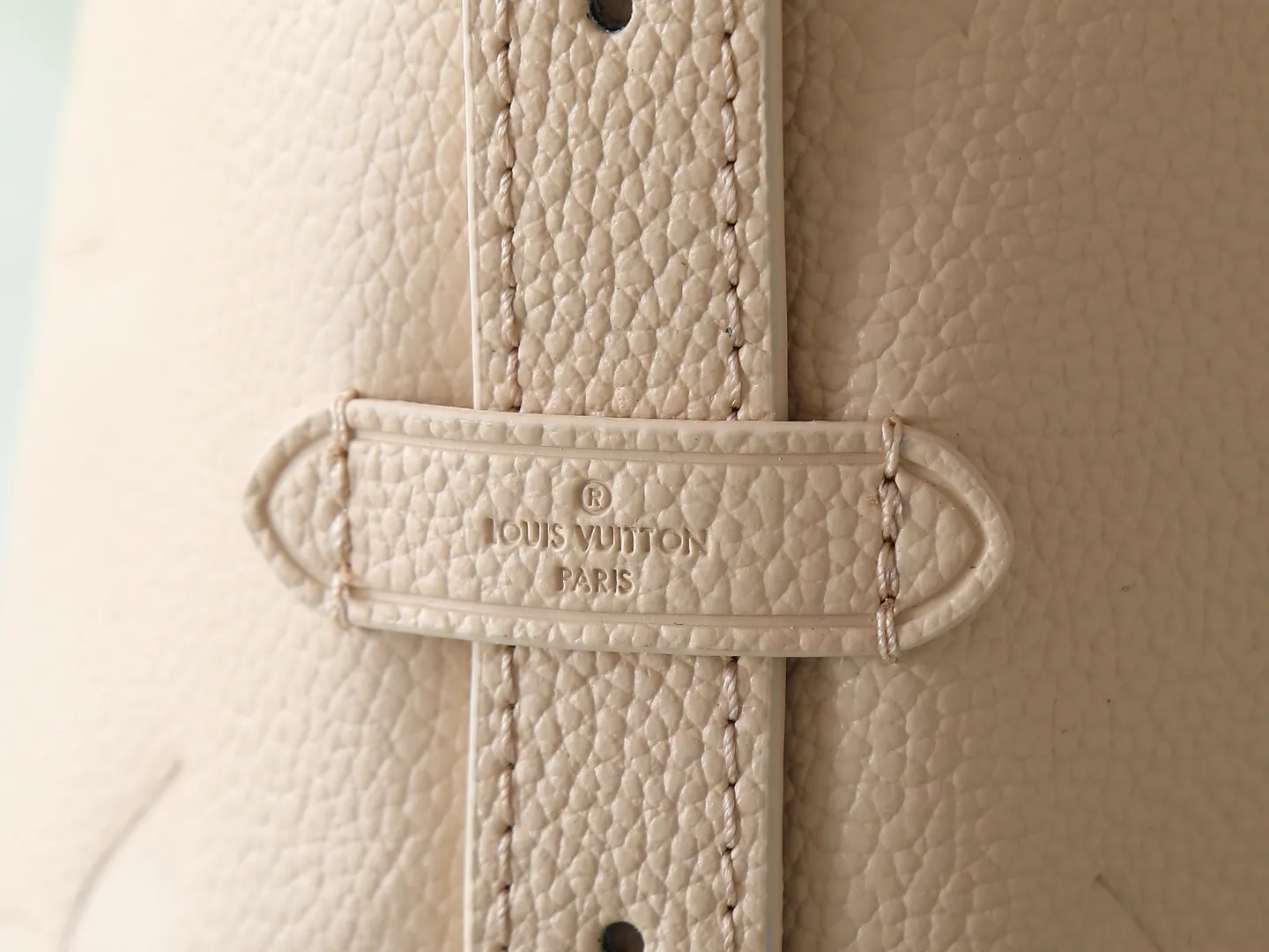 Louis Vuitton CarryAll PM M14321 - 图片 8