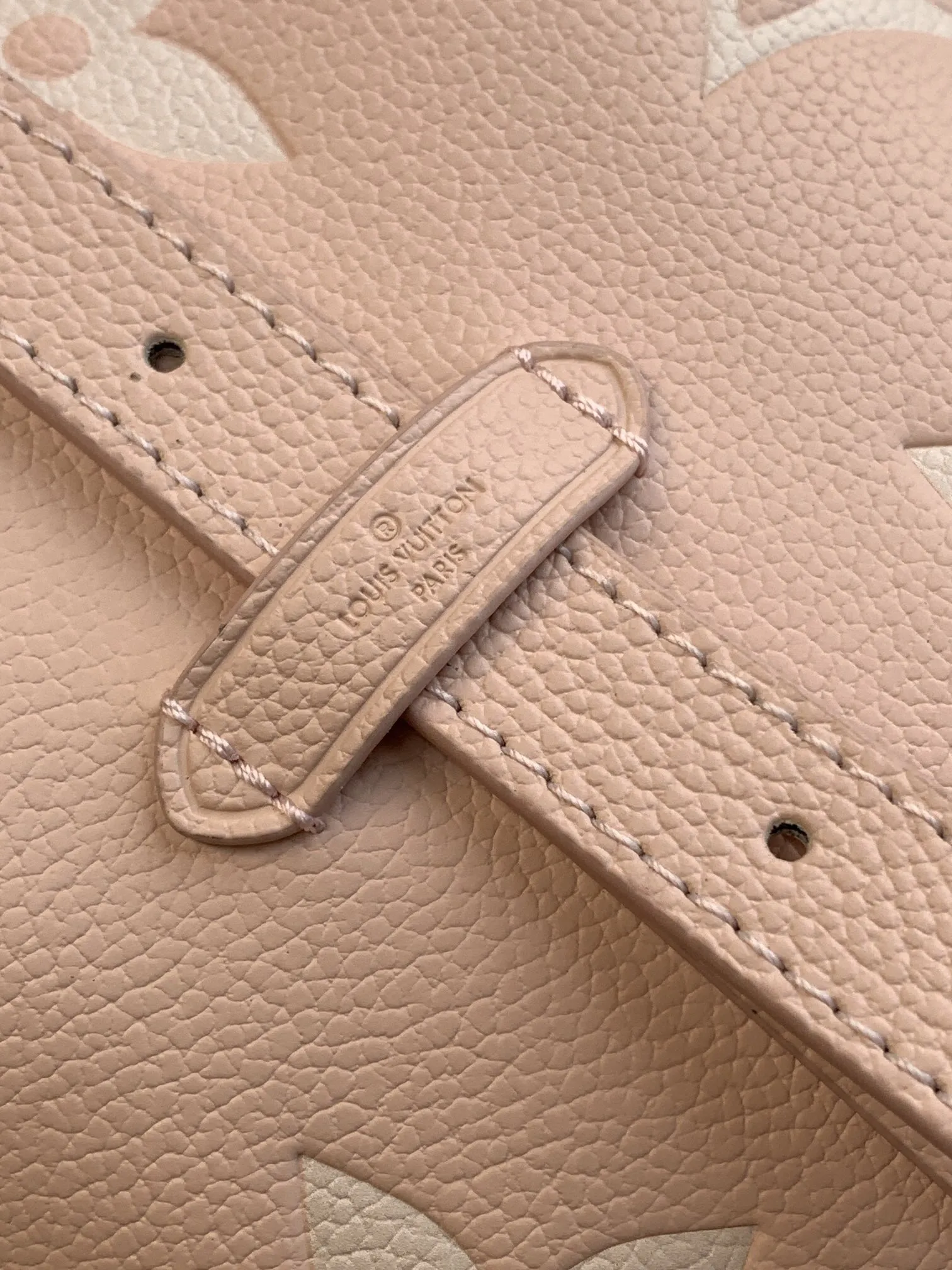 Louis Vuitton CarryAll PM M14209 - 图片 10