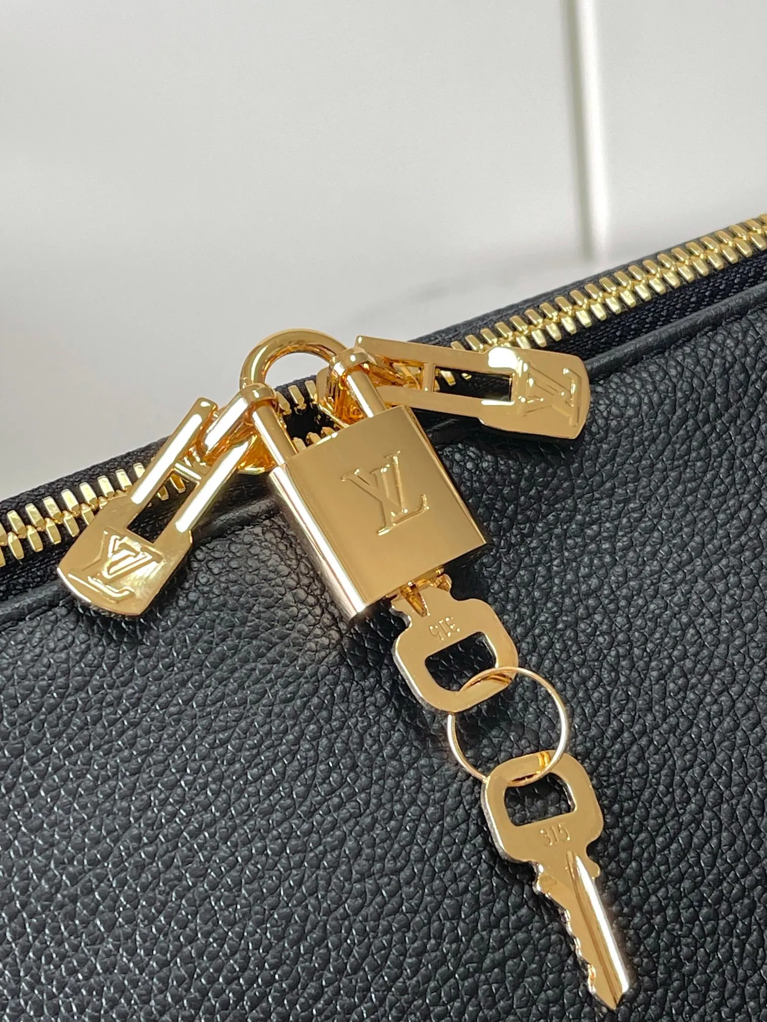 Louis Vuitton Express Travel M26037 - 图片 7