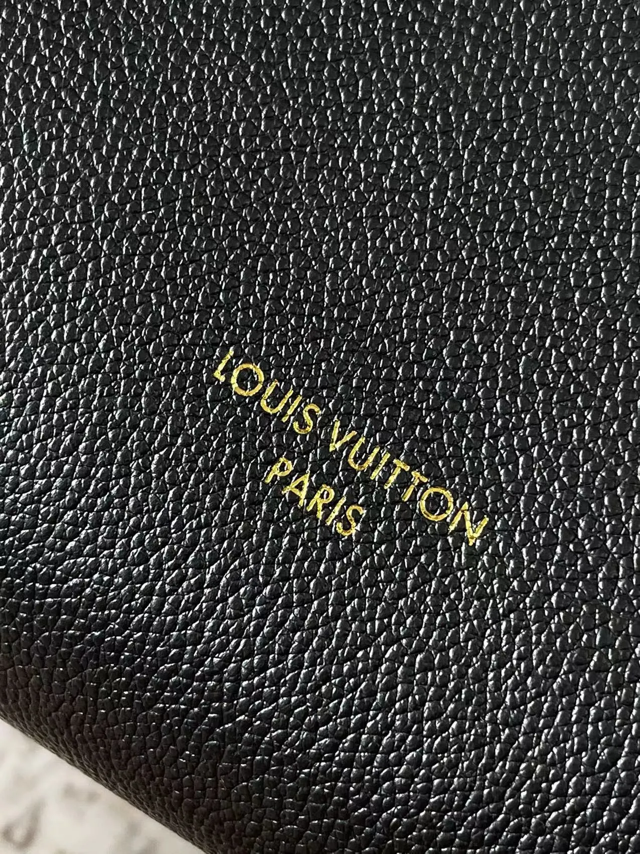 Louis Vuitton Express Travel M26037 - 图片 9