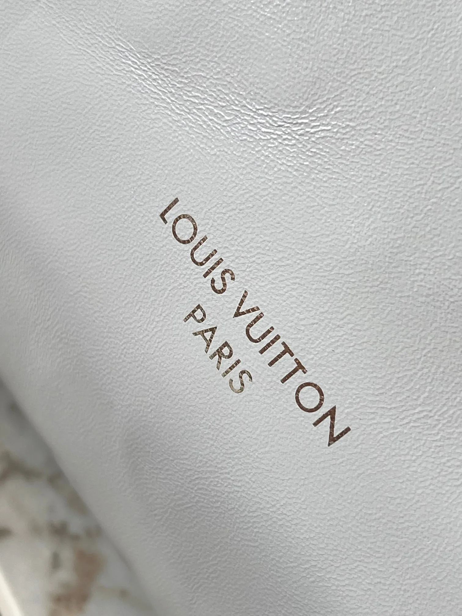 Louis Vuitton CarryAll Vibe MM M12583 - 图片 6
