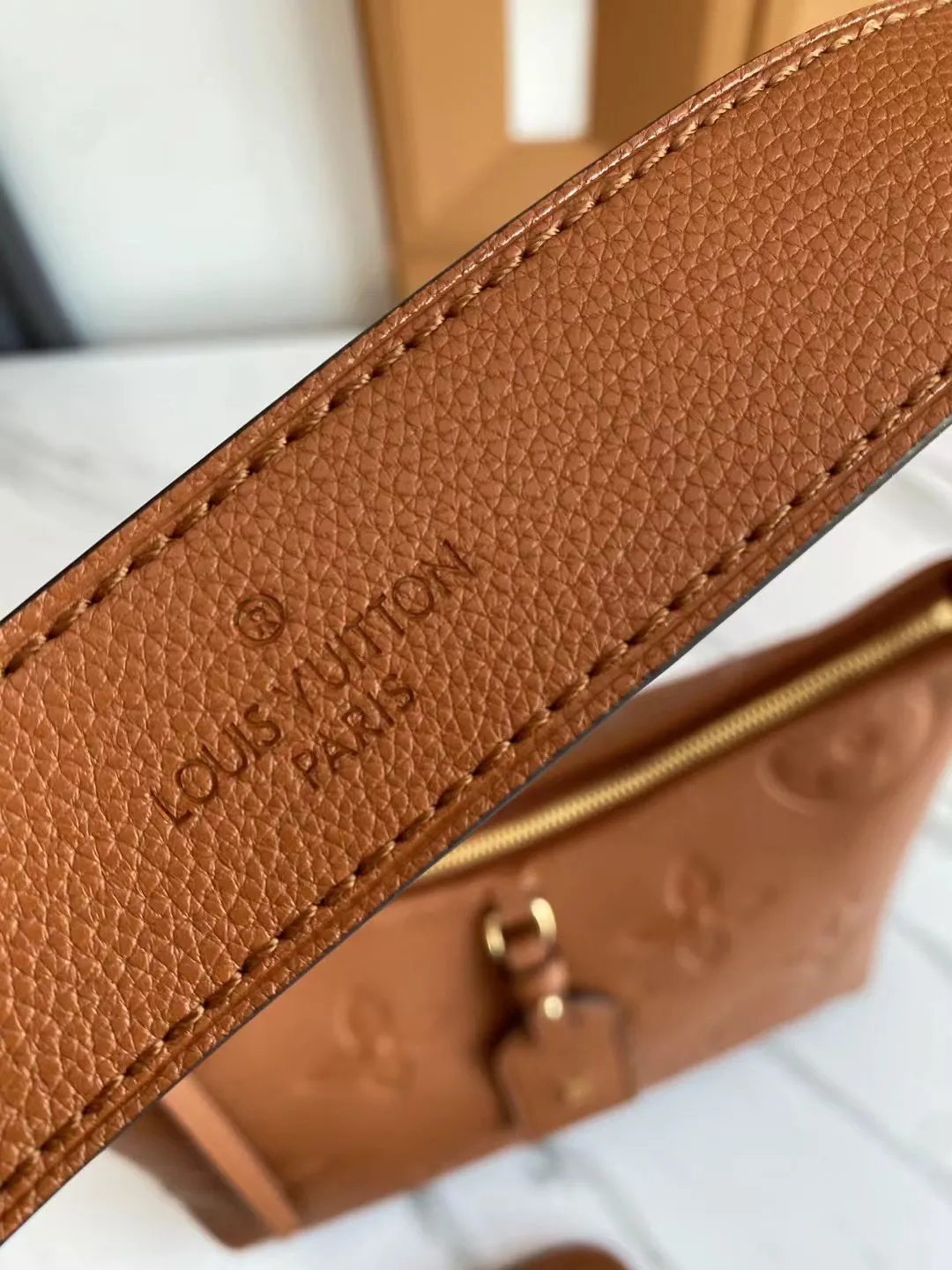 Louis Vuitton CarryAll PM M11790 - 图片 9