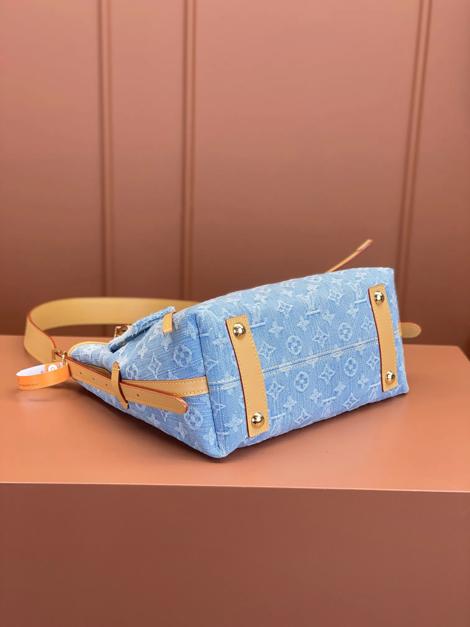 Louis Vuitton CarryAll PM M11462 - 图片 8