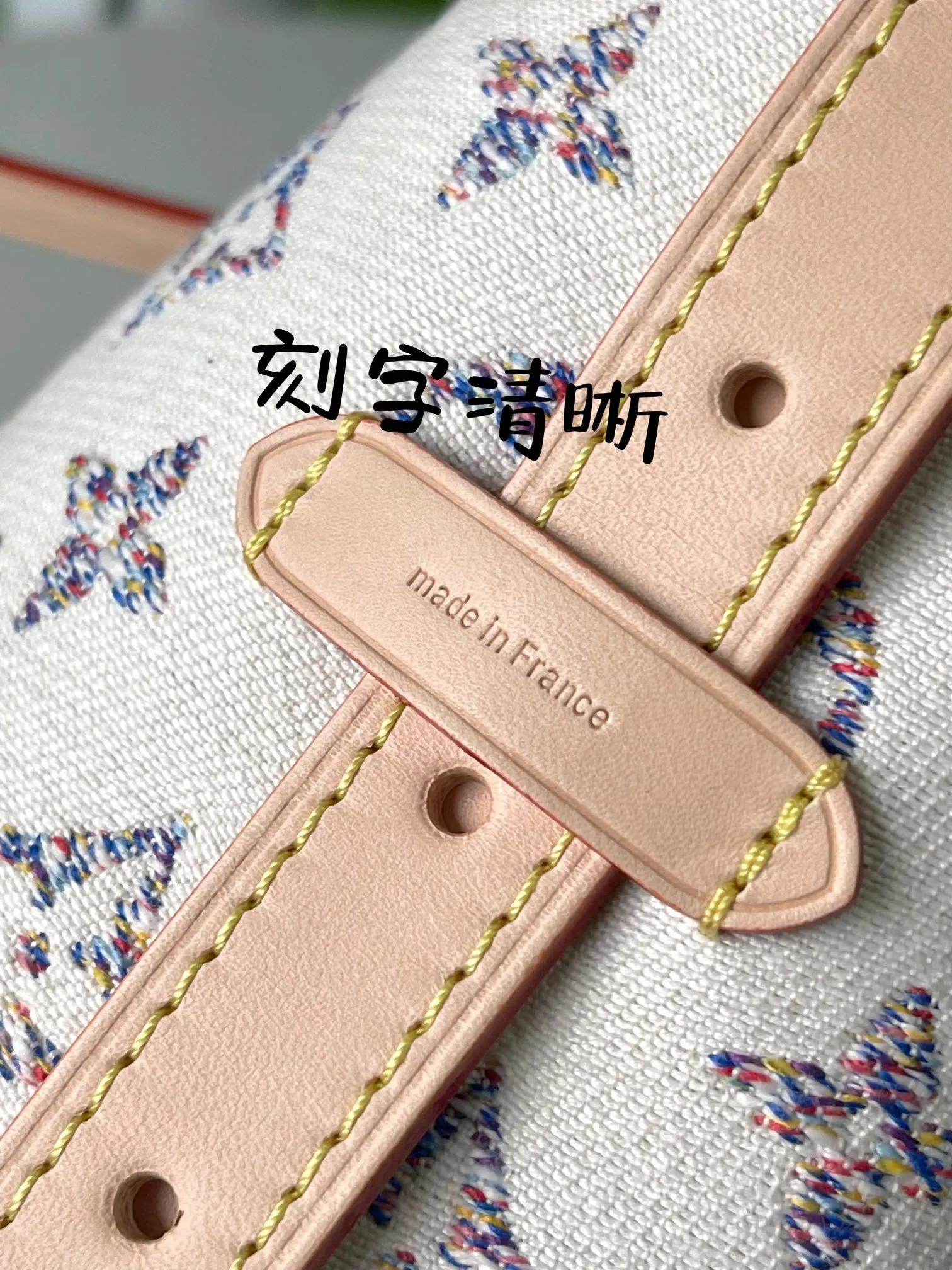 Alternative view of Louis Vuitton CarryAll PM M24707
