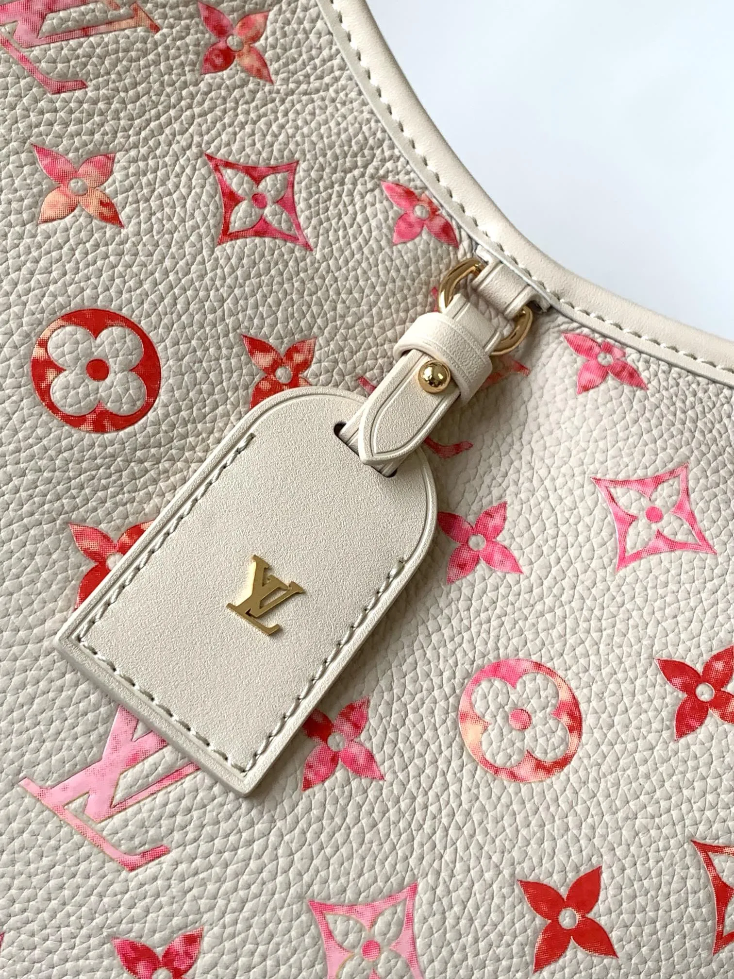 Louis Vuitton CarryAll PM M24652 - 图片 4