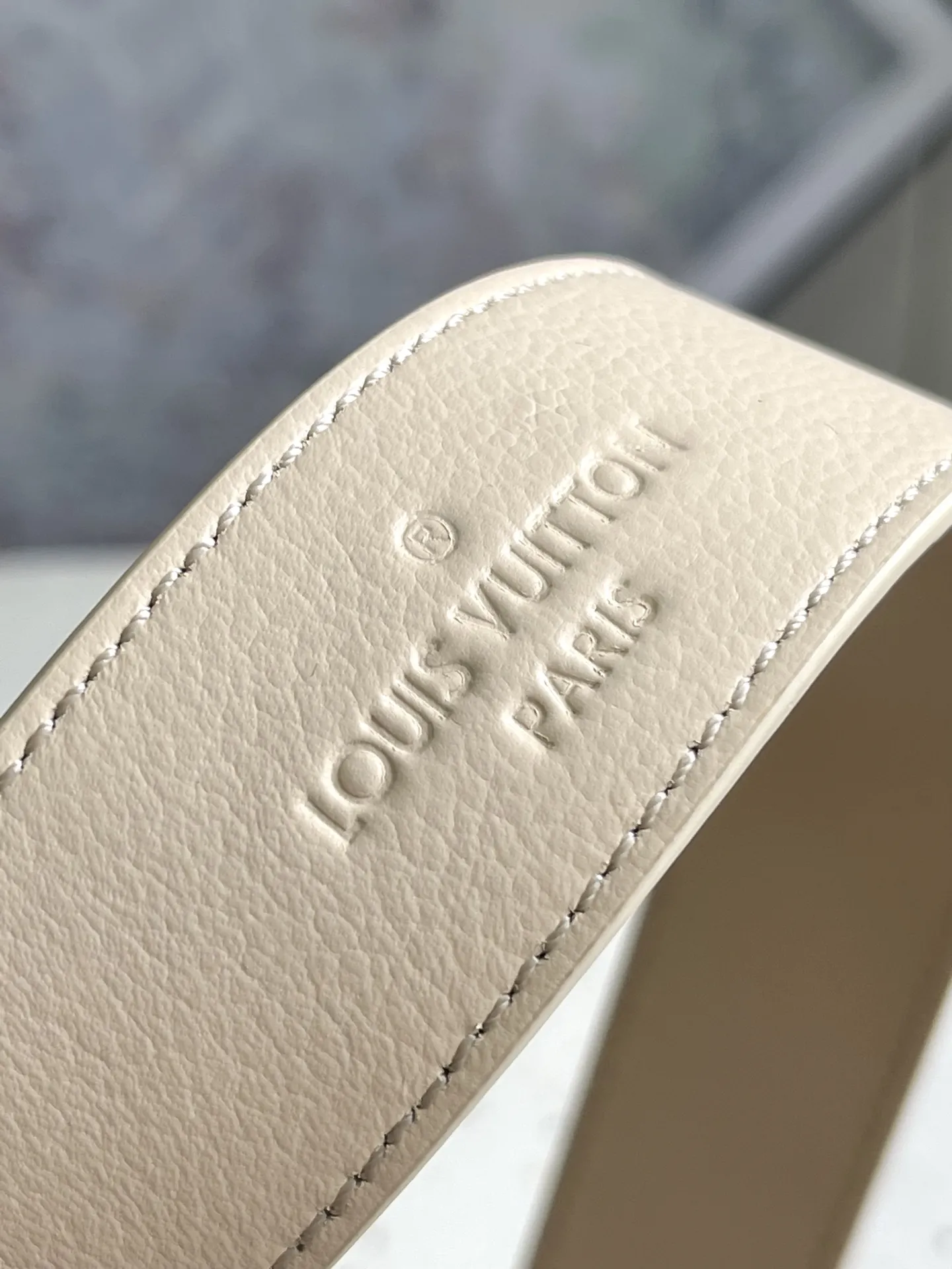 Louis Vuitton CarryAll PM M24141 - 图片 8