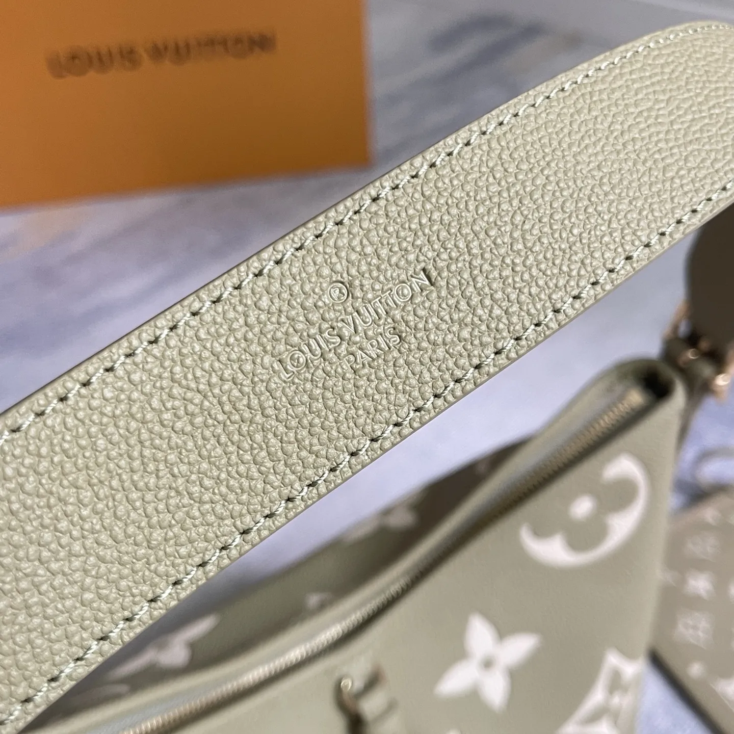 Louis Vuitton CarryAll PM M46672 - 图片 8