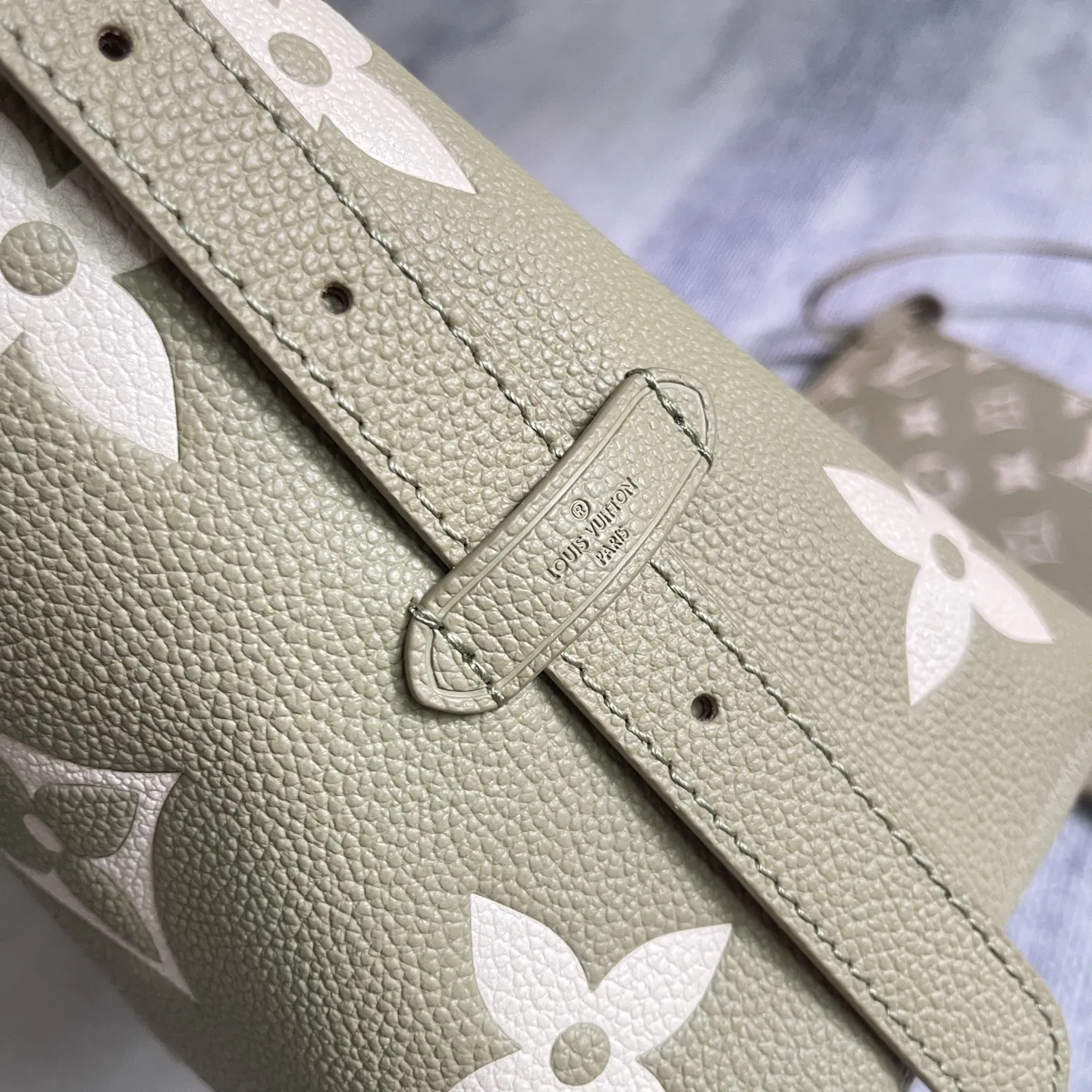 Louis Vuitton CarryAll PM M46672 - 图片 9