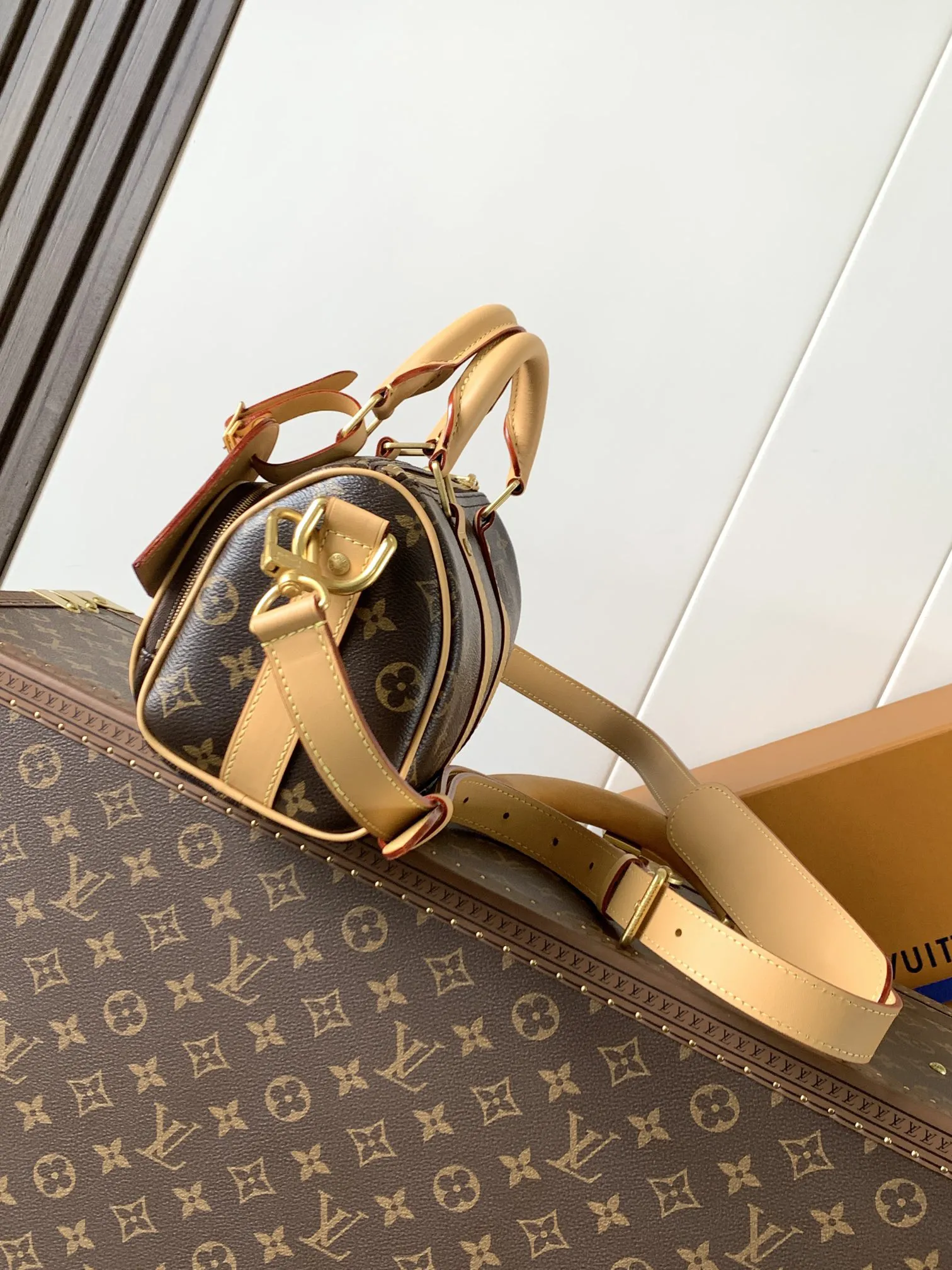 Louis Vuitton Keepall 25 Cargo M14981 - 图片 4